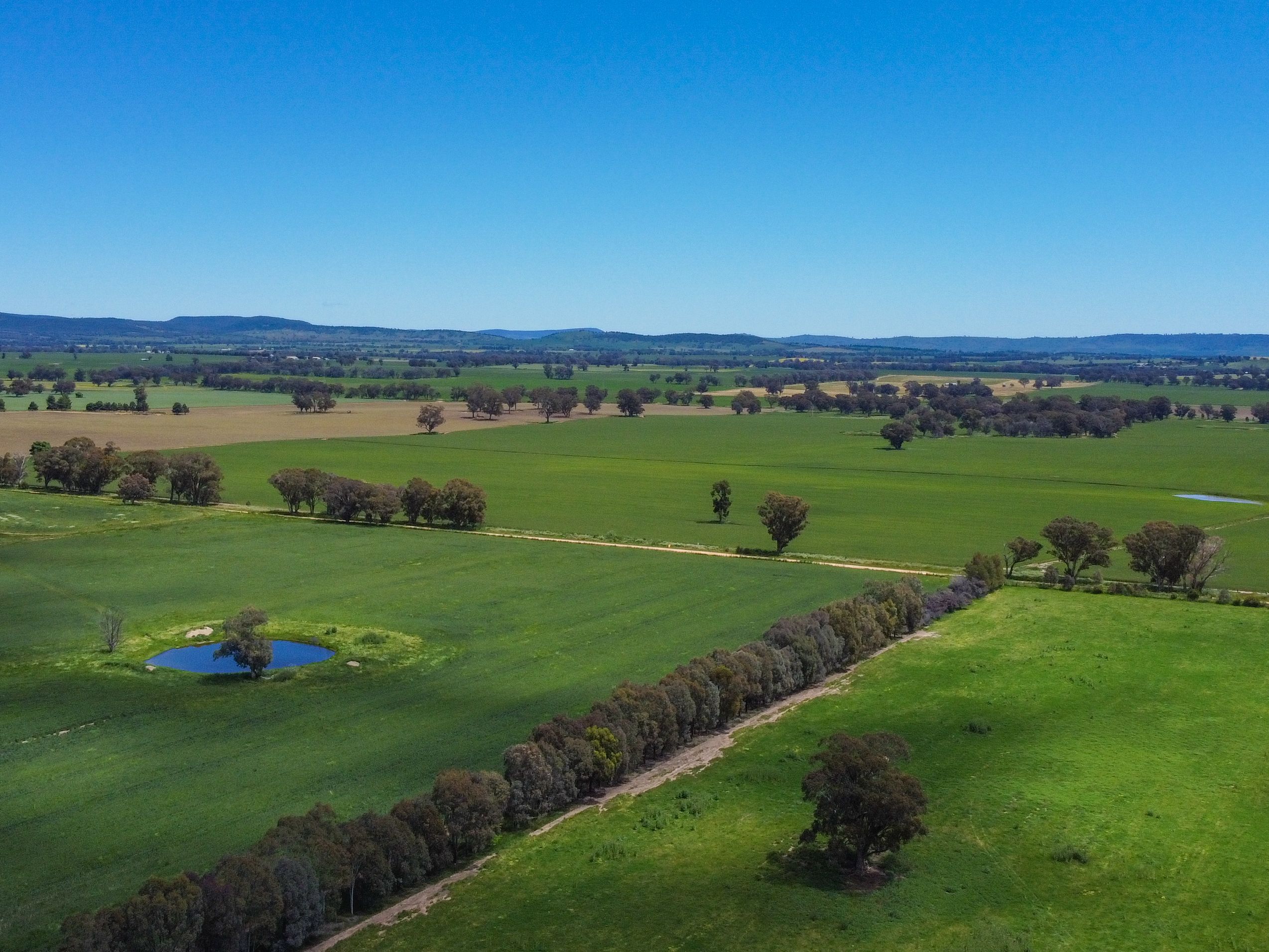 'Bellhaven Park' Morongla Road, Cowra, NSW 2794 Sold Rural Cropping Property Ray White Rural