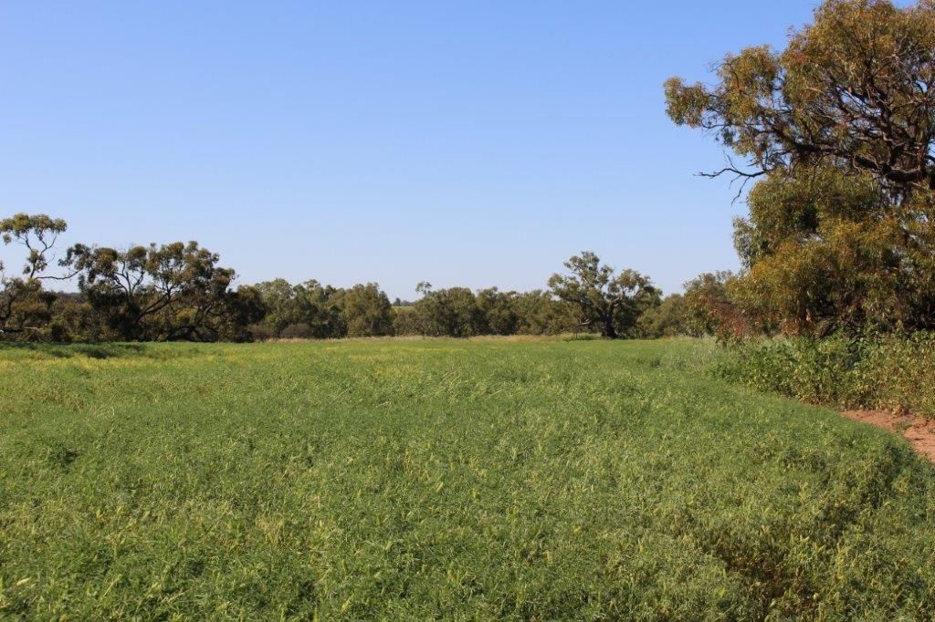 Lot 3 Midlands Road, Irwin, WA 6525