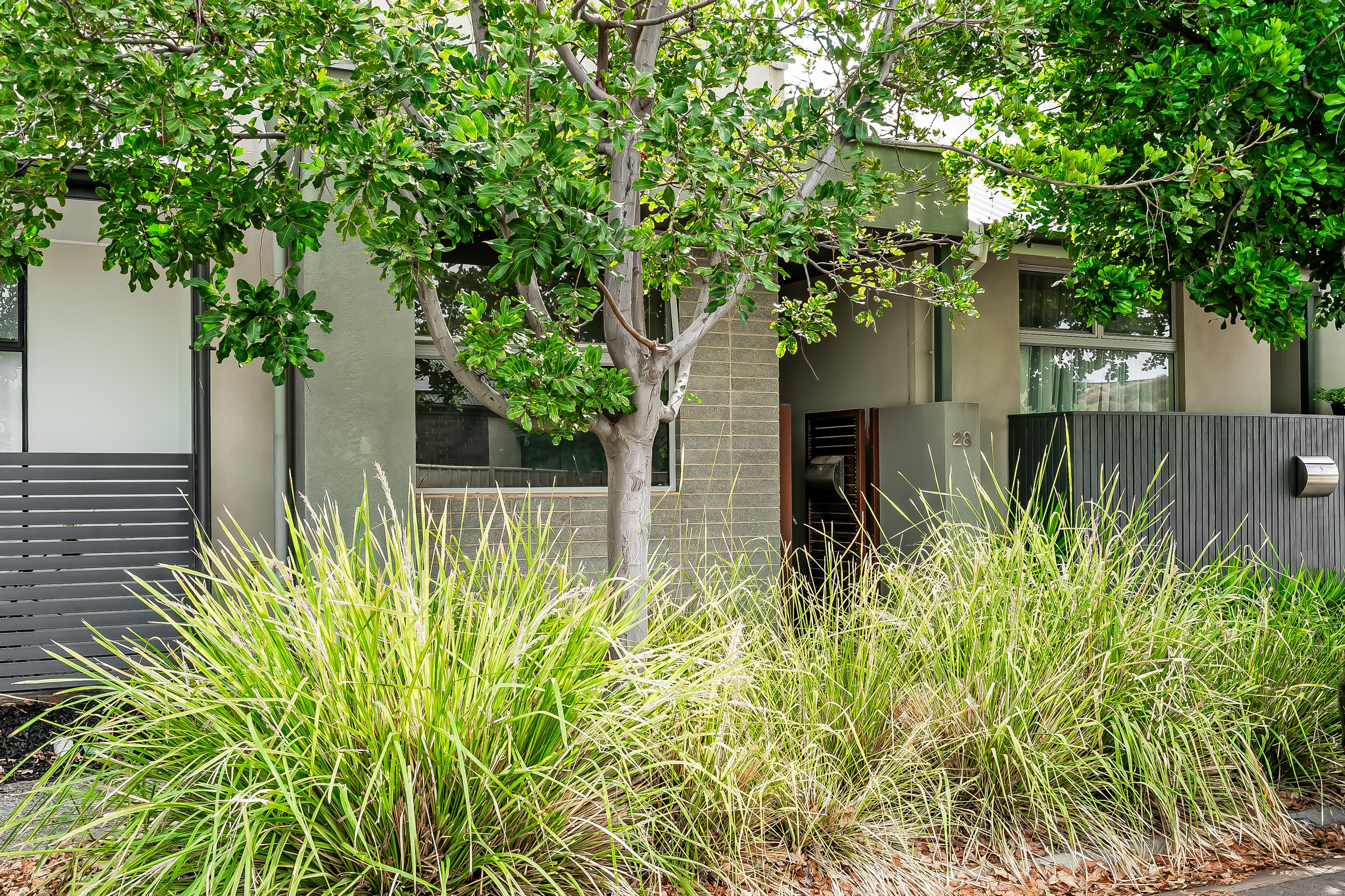 28 Ridley Street, Mawson Lakes, SA 5095