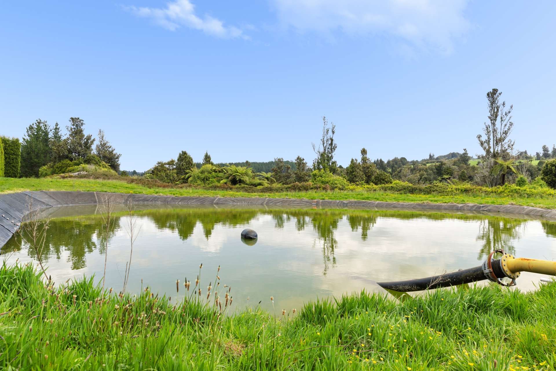 1010 Te Matai Road photo 12