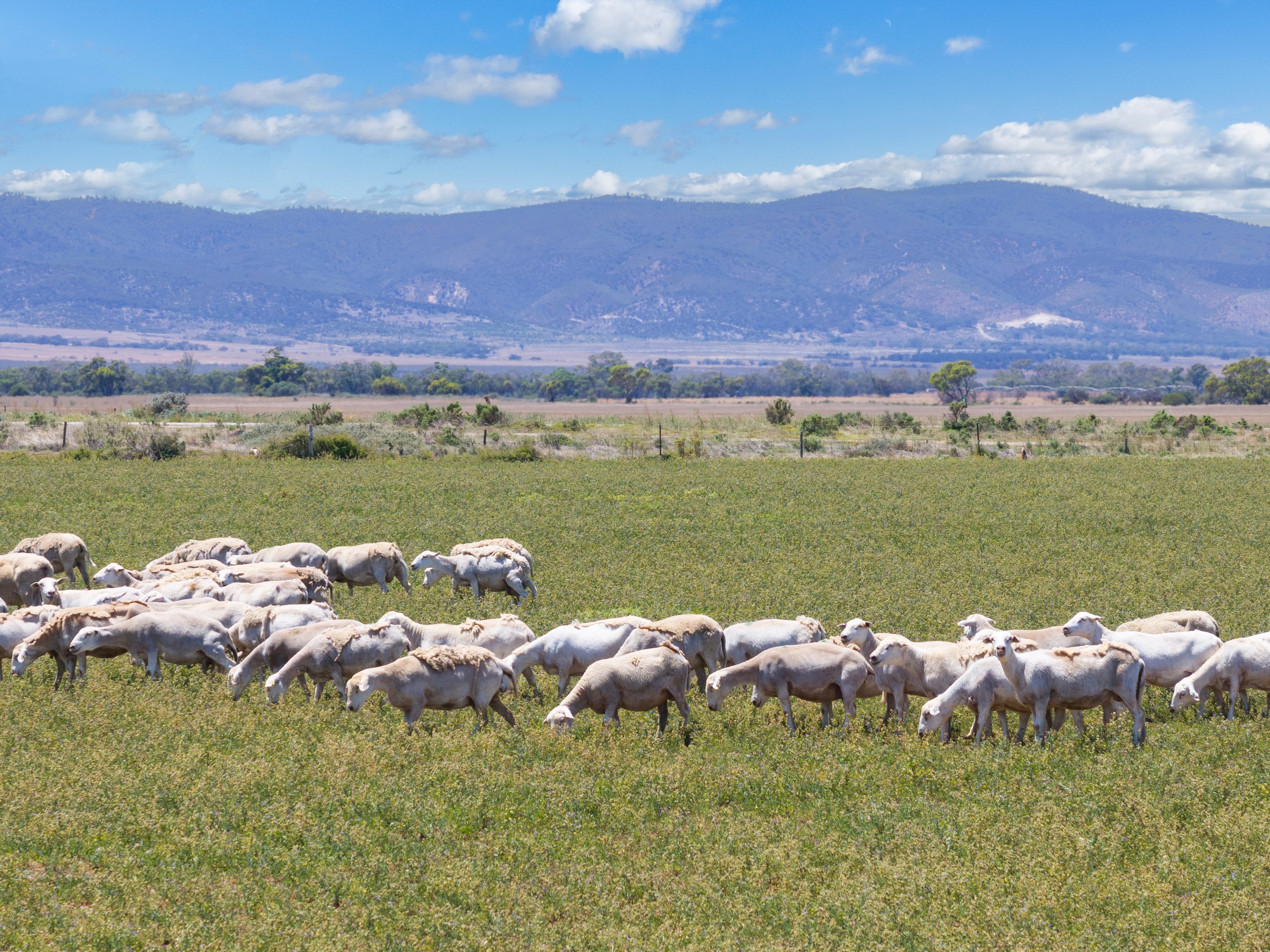 'Bonnie-Doon' Augusta Highway, Baroota, SA 5495