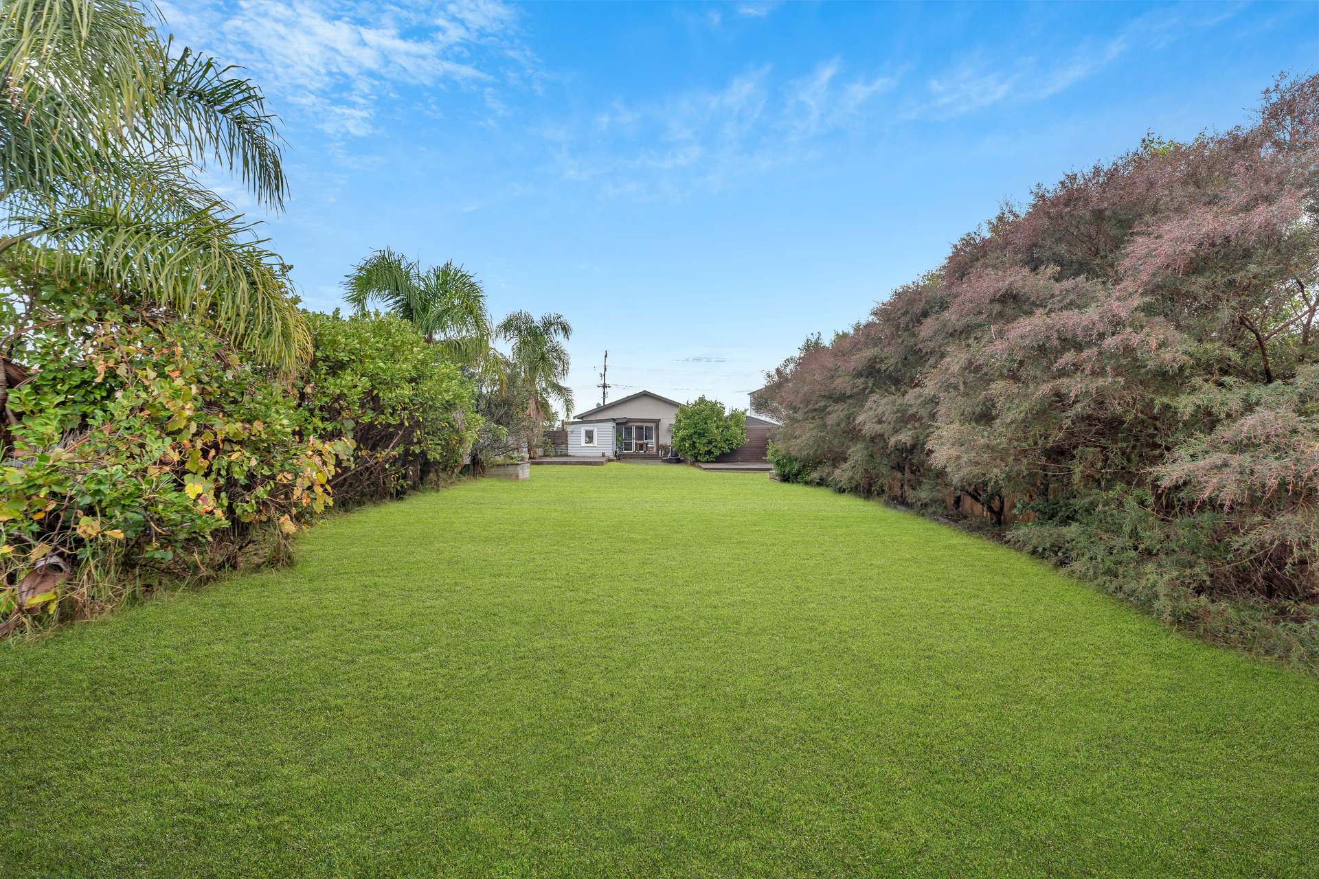 84 Eversleigh Road photo 1