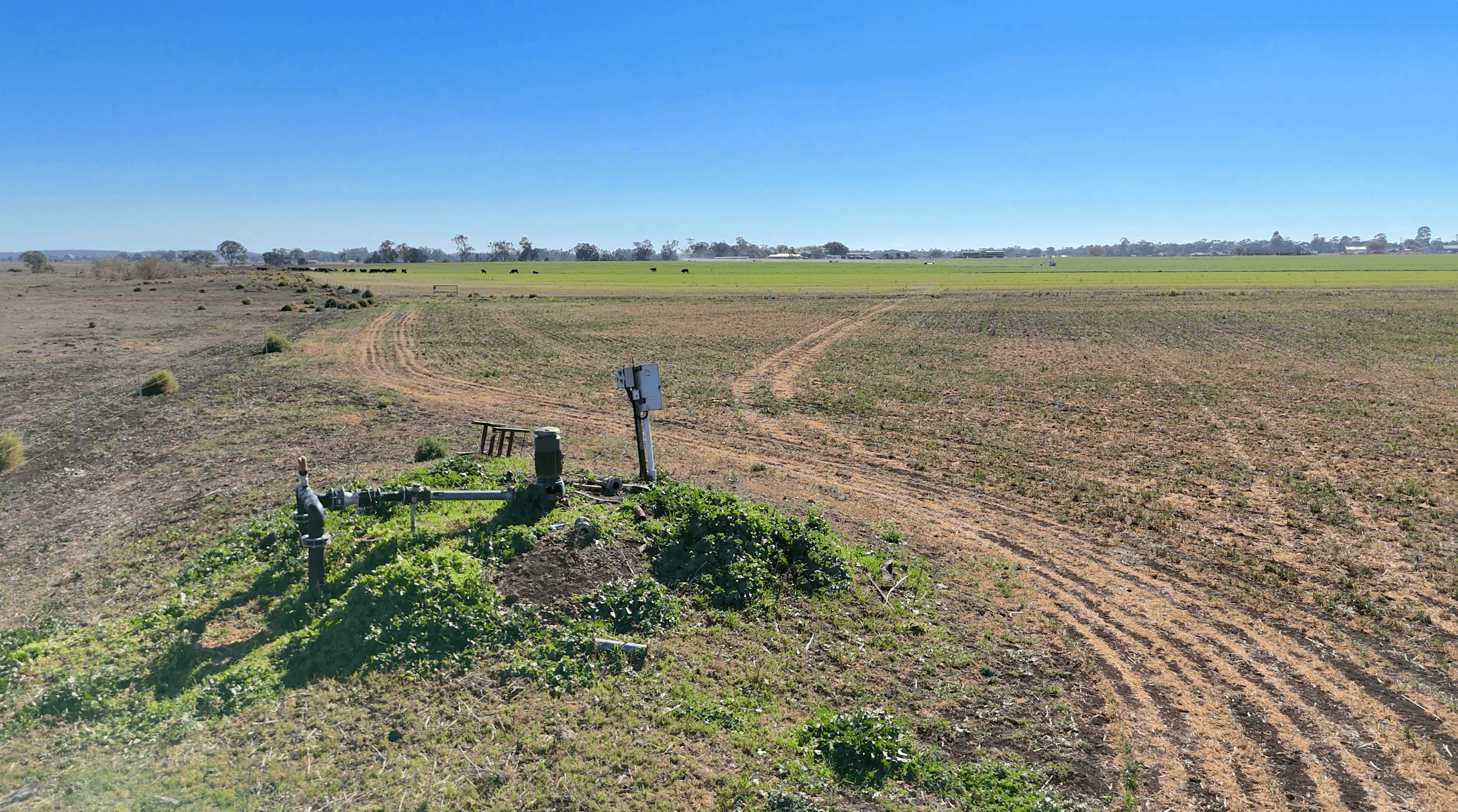 "Mountain Glen" Oakey Pittsworth Road — photo 10 of 30