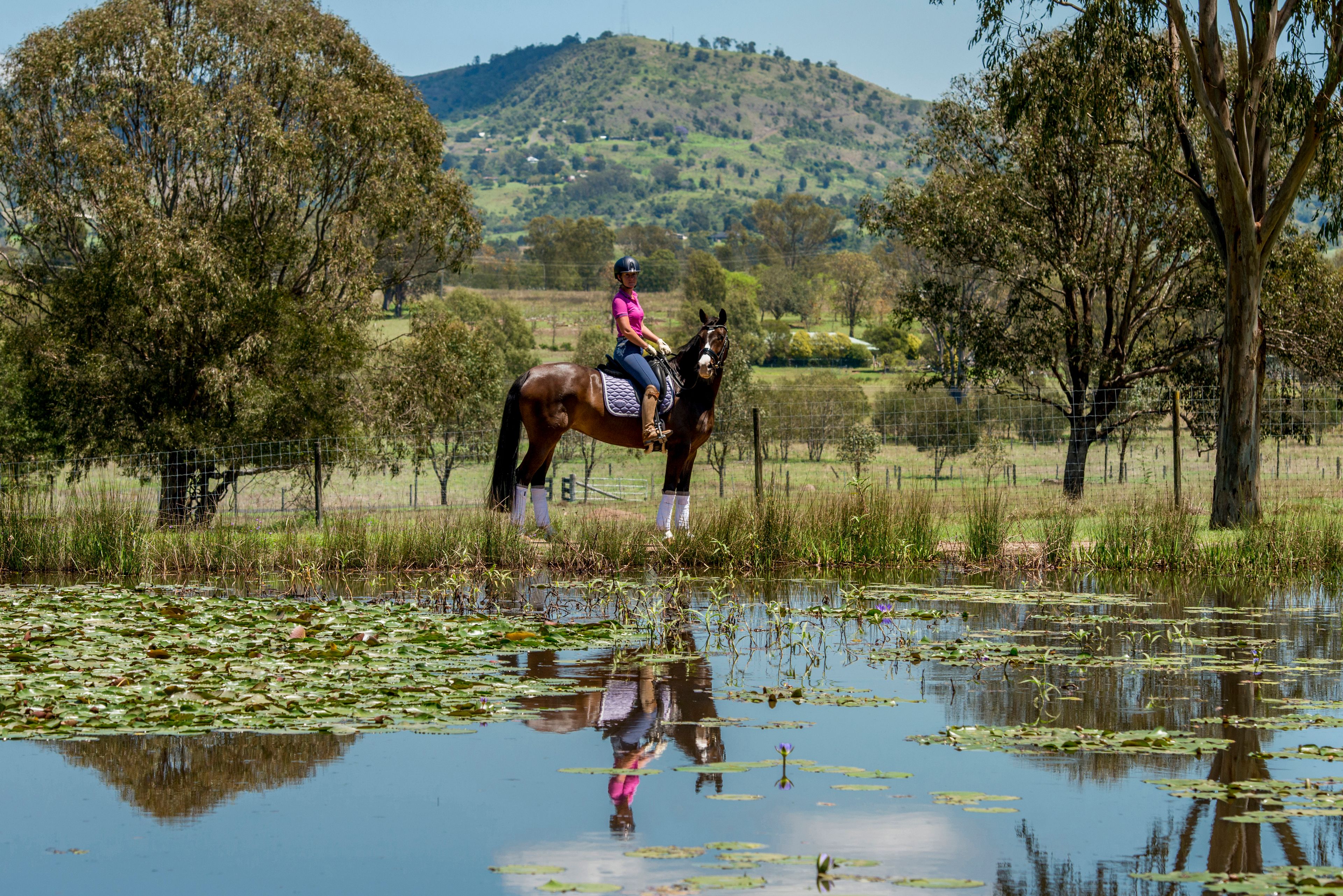 Glamorgan Vale, QLD 4306