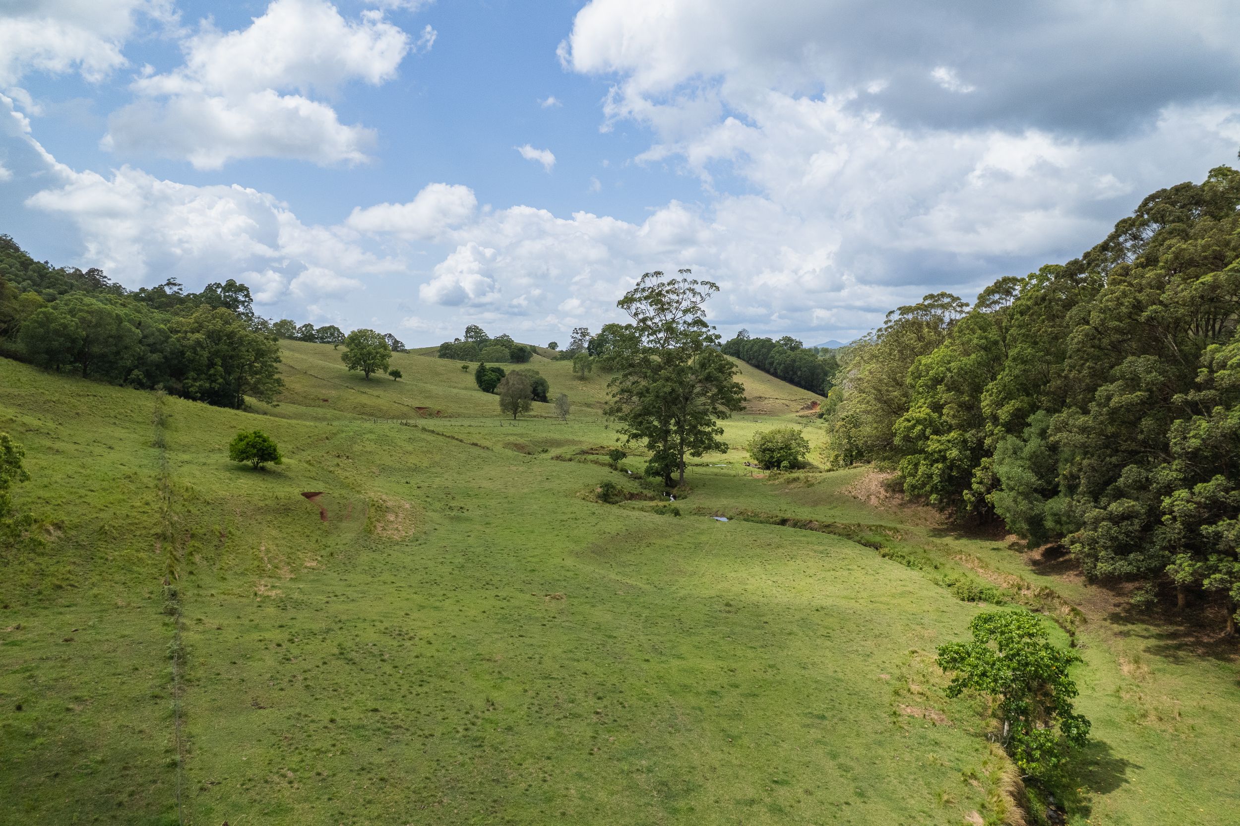 Mount Pleasant, QLD 4521