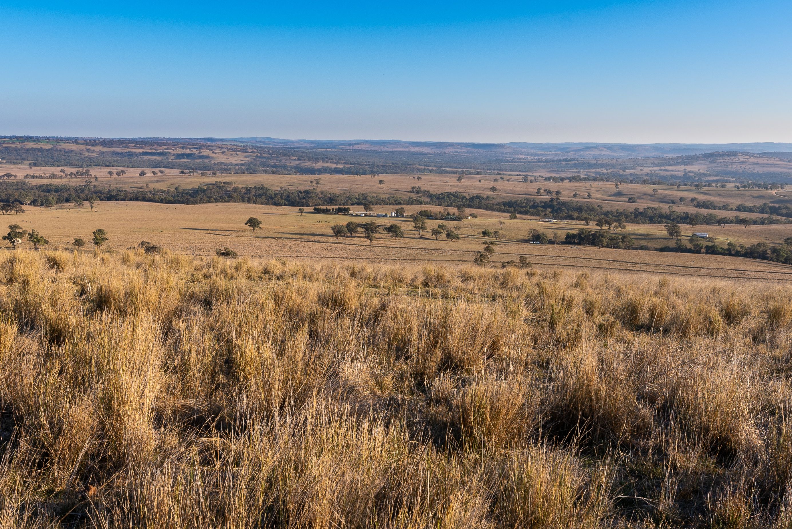 "Summer Hill & Rosedale" 1560 Summerhill Road, Cassilis, NSW 2329 Sold Rural Mixed Farming