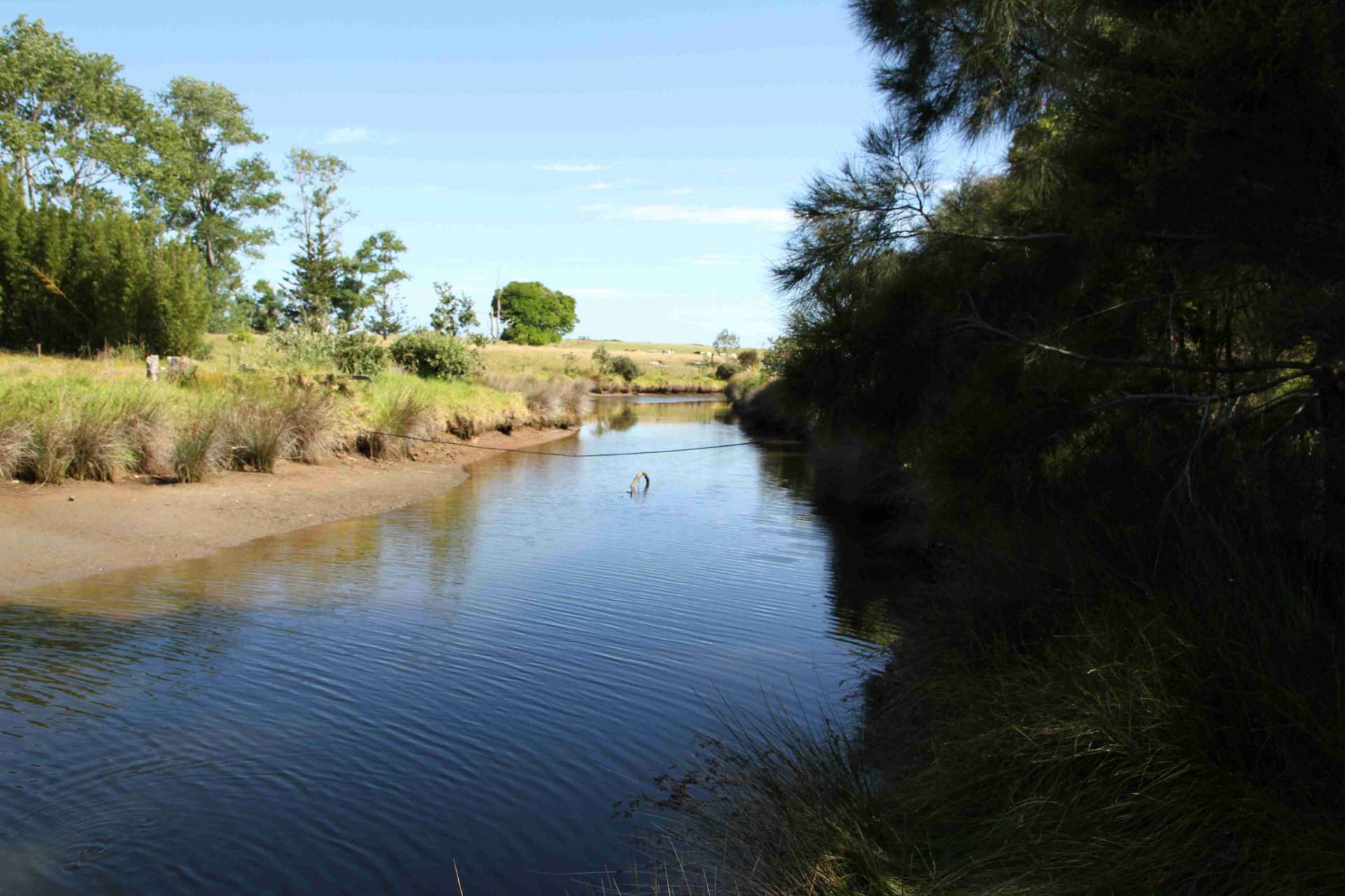 Lot 1 State Highway 10 photo 18