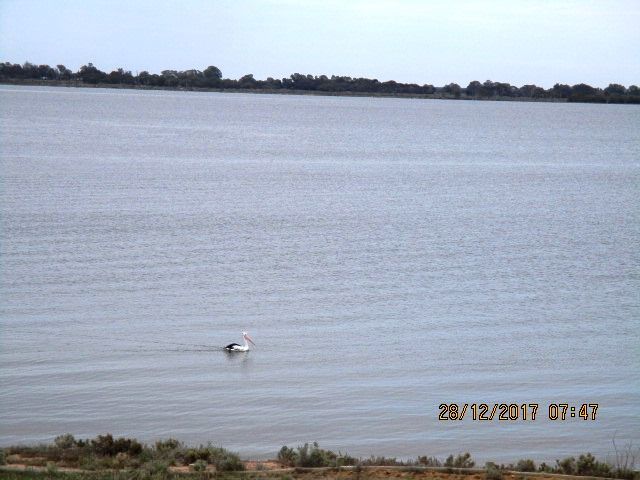 17 Queen Elizabeth Drive, Barmera, SA 5345