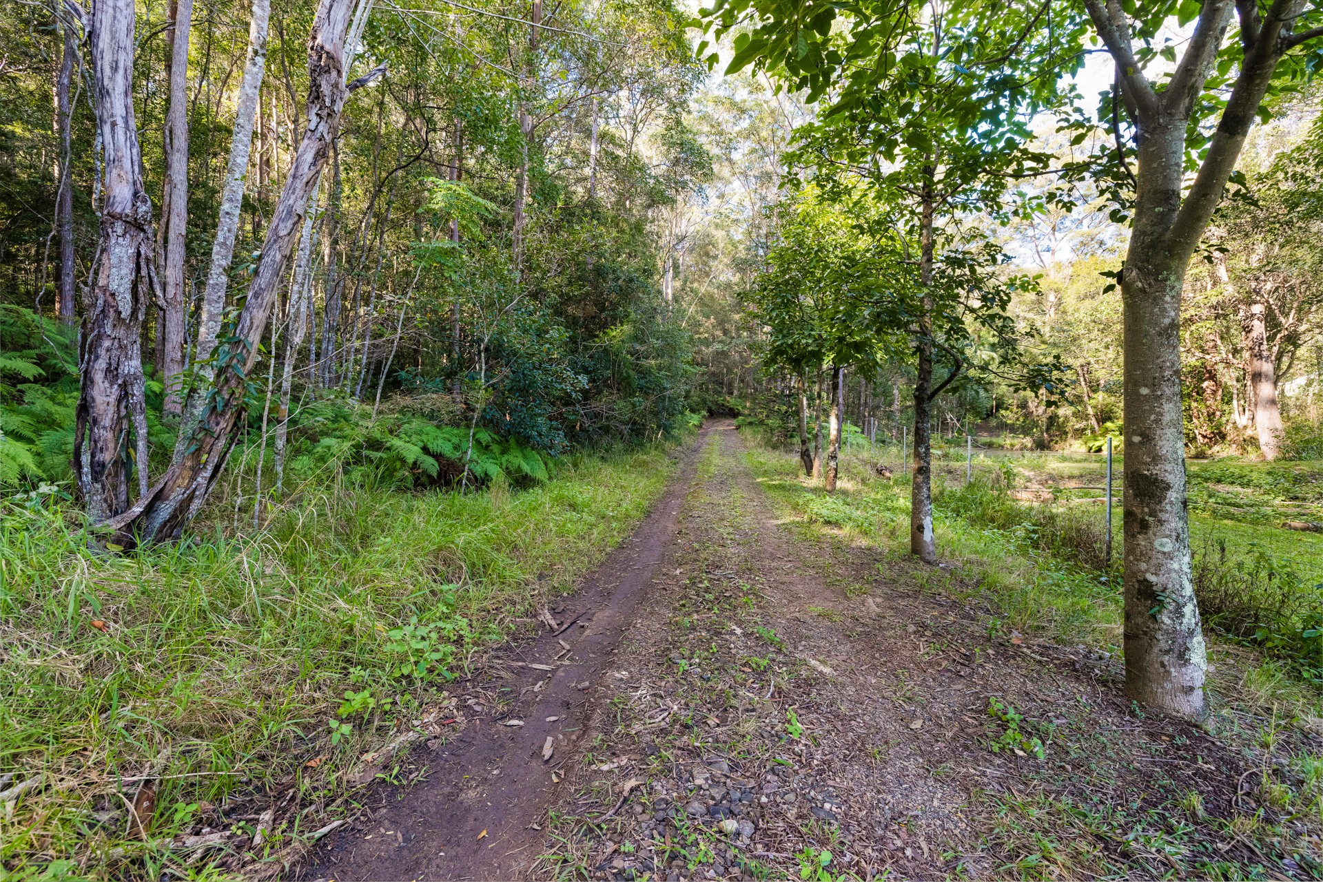 143 Dales Road, Chevallum, QLD 4555
