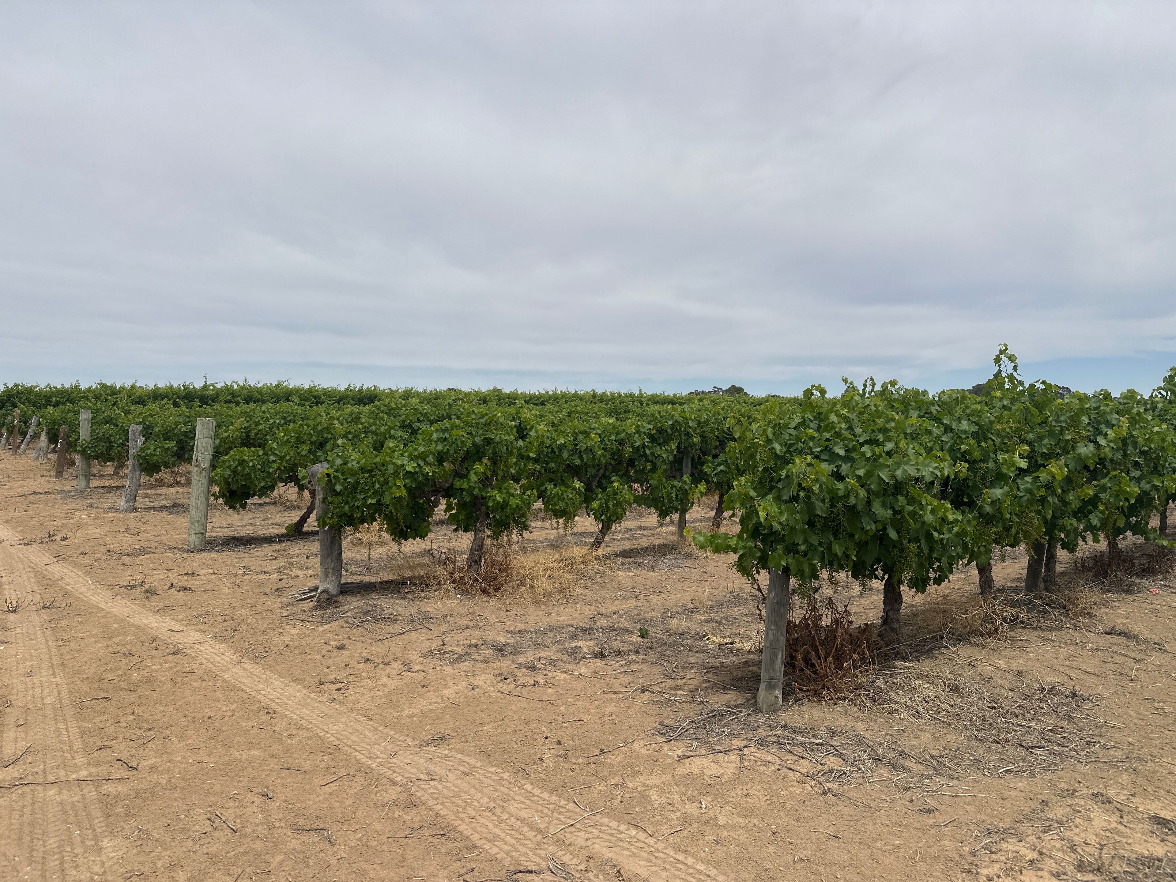 Lot 22 Brand Road — photo 7 of 12