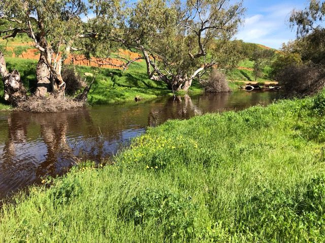 57 Border Drive, Deepdale, WA 6532