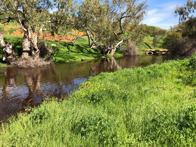 57 Border Drive, Deepdale, WA 6532