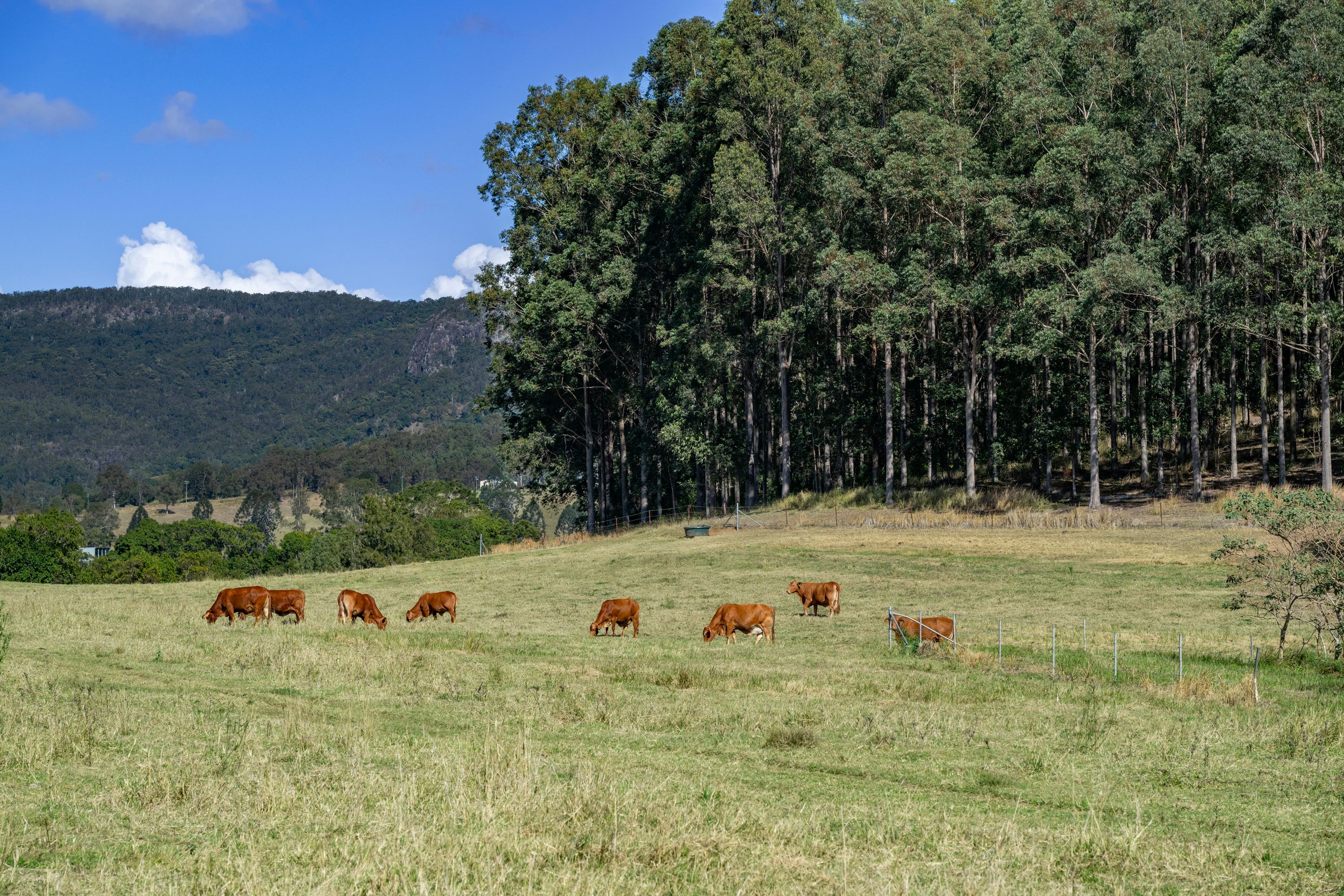 0 Spiller Road — photo from Ray White Rural Queensland