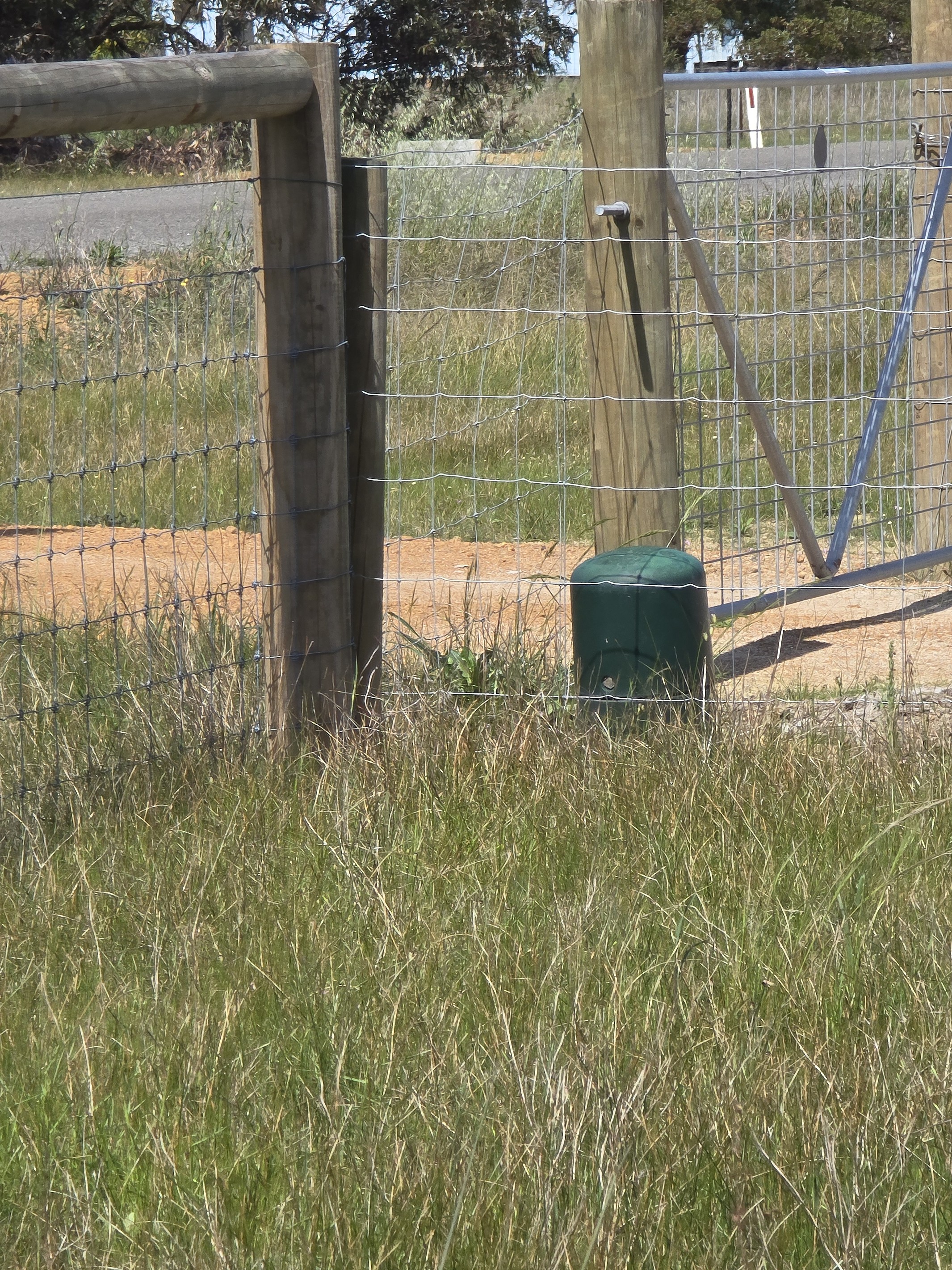 Lot 195 119 First Avenue, Kendenup, WA 6323