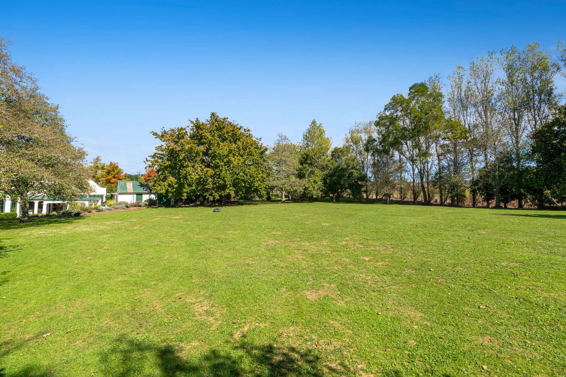 636 Kahikatea Flat Road photo 66