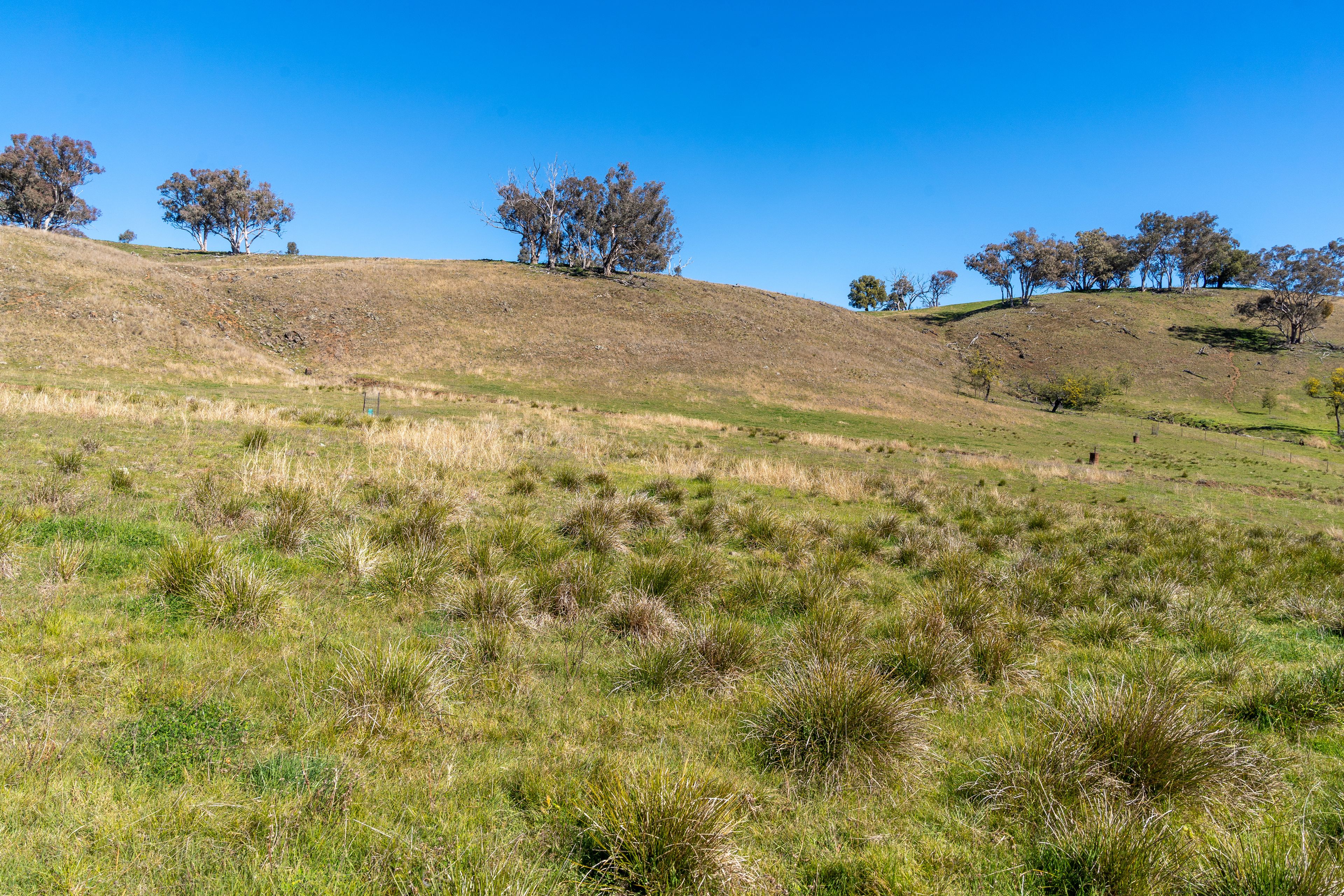 'Wahroonga' 2235 The Escort Way — photo 5 of 19