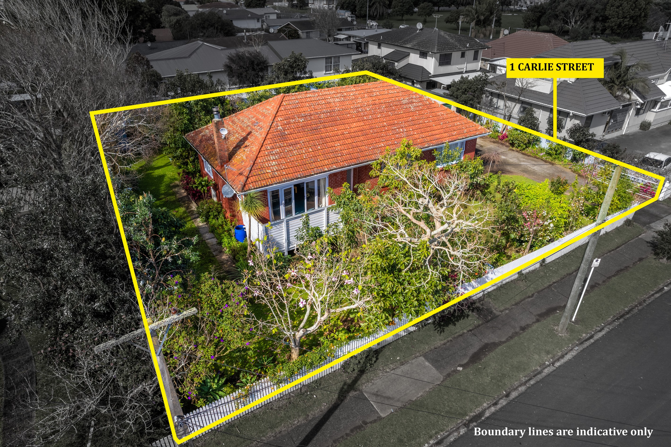 1 Carlie Street, Papatoetoe, Manukau City