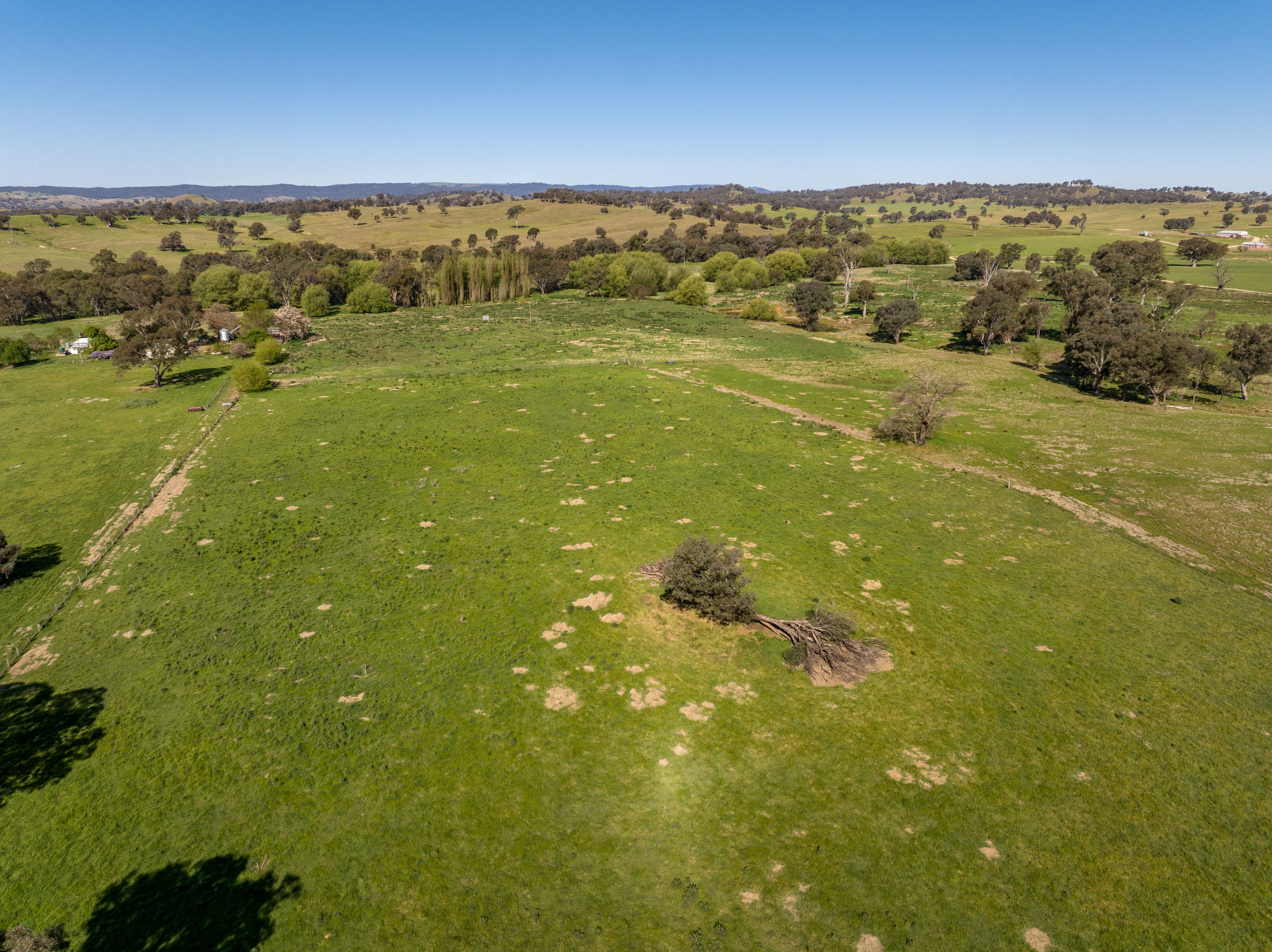 "Avonlea" 156 Comatawa Road, Tarcutta, NSW 2652 Sold Rural Mixed