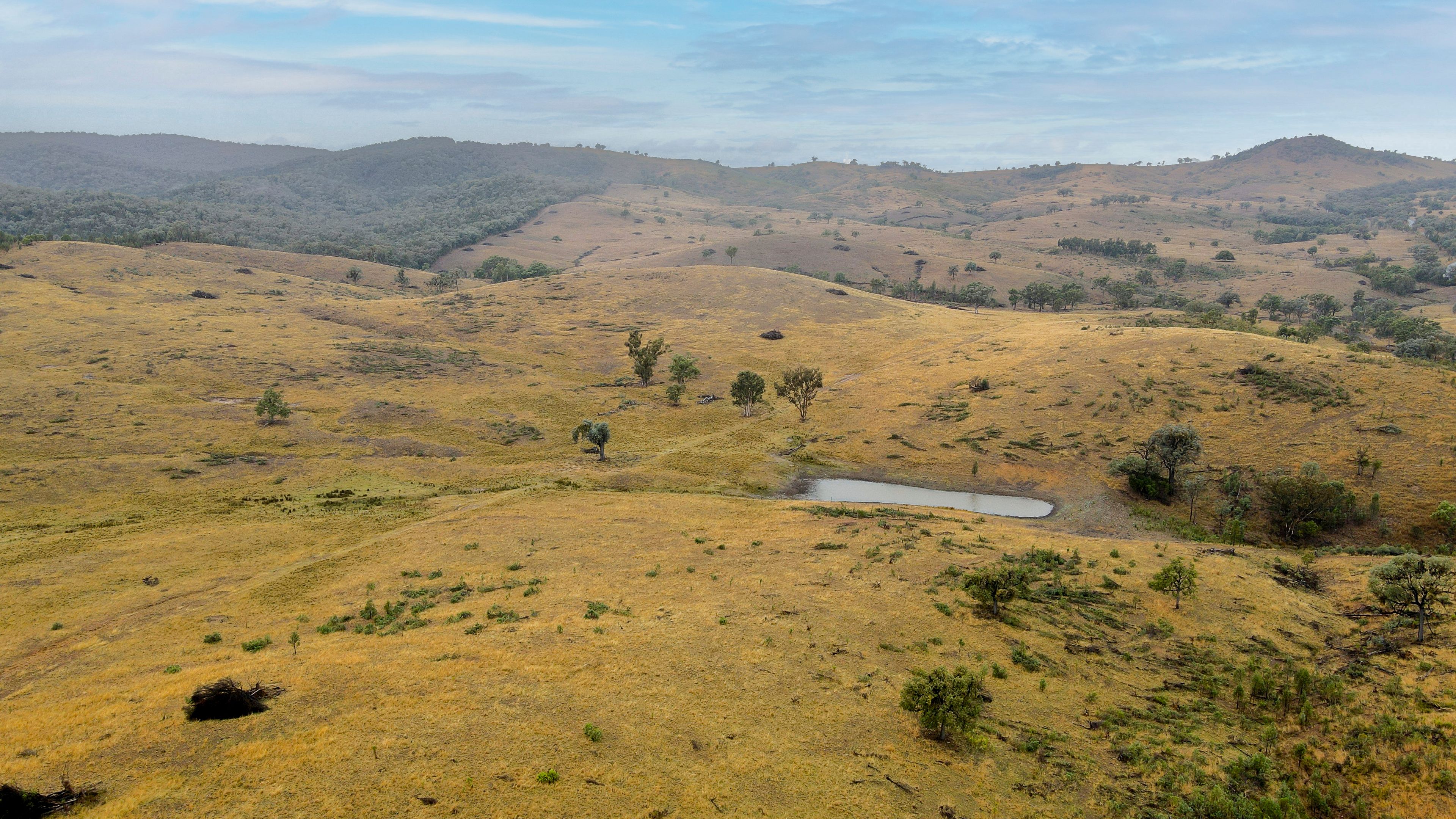 Lot 9 & 10 Silverspur Redgate Road, TEXAS, QLD 4385 Rural Property