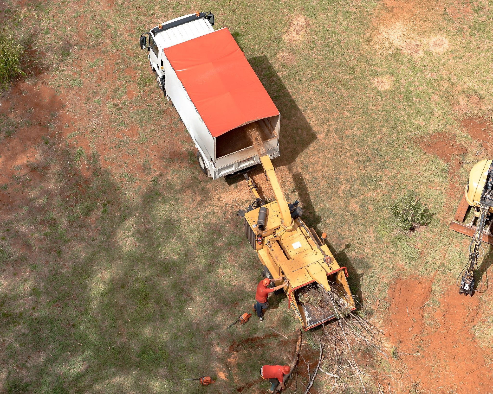 Tree Services Company, Toowoomba, QLD 4350