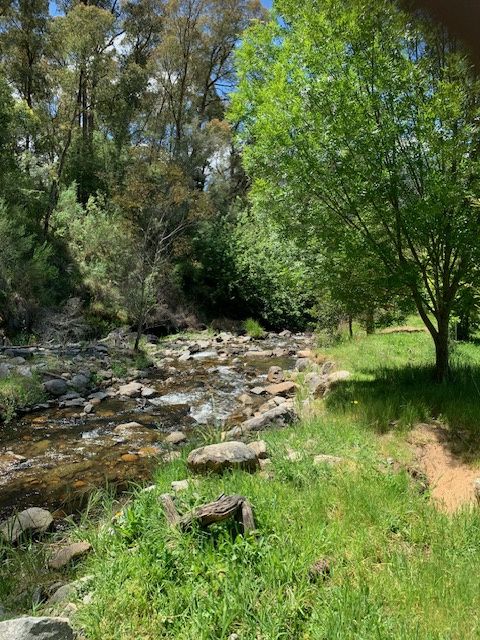 Part 1420 Goobarragandra Road — photo 8 of 11