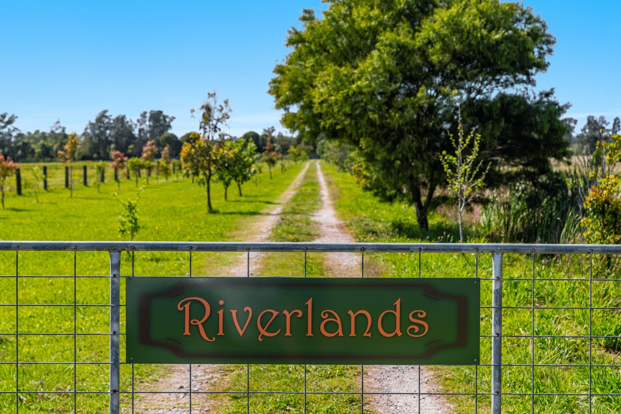 Palmers Island, NSW 2463