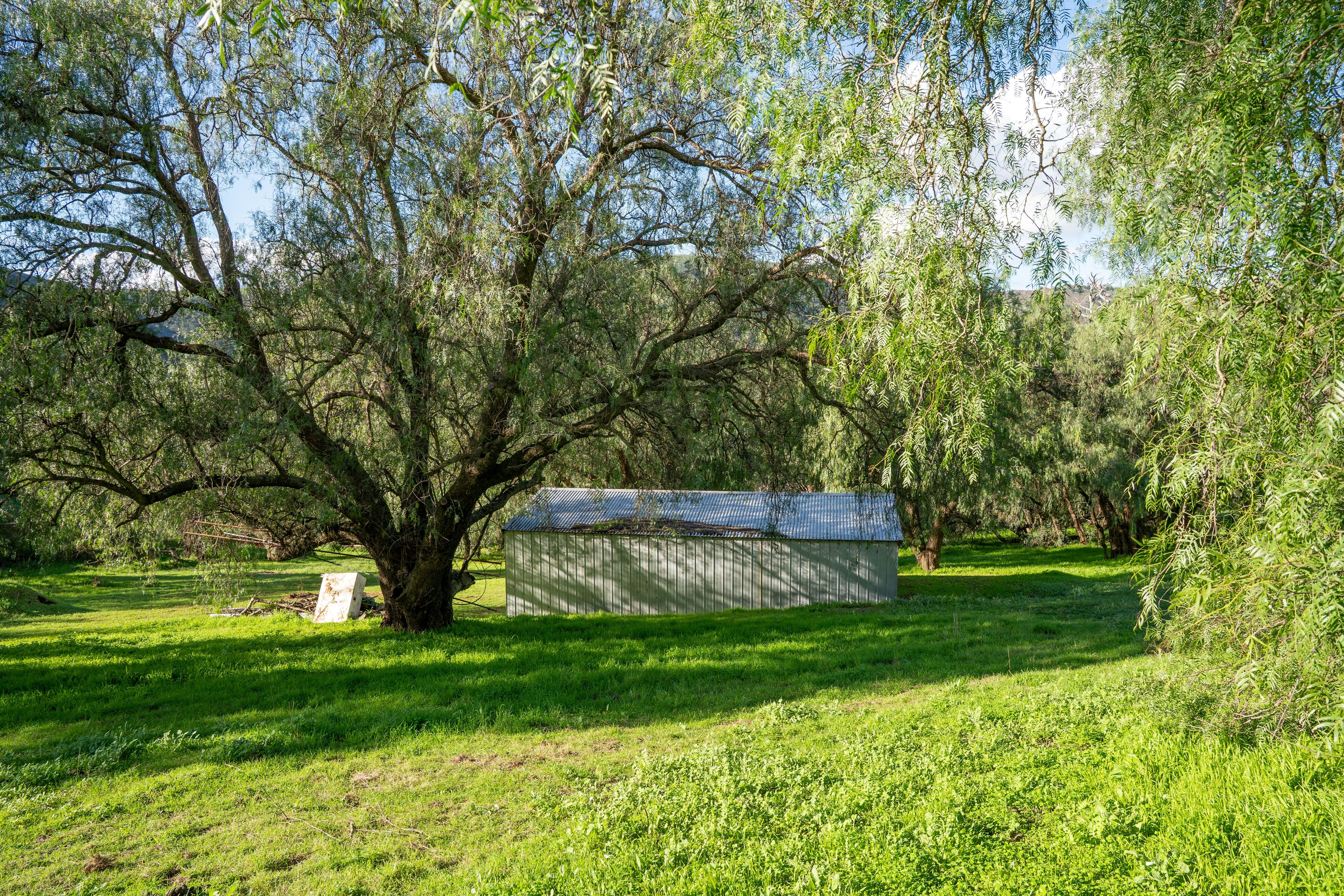 8389 Goulburn Valley Highway — photo 12 of 22