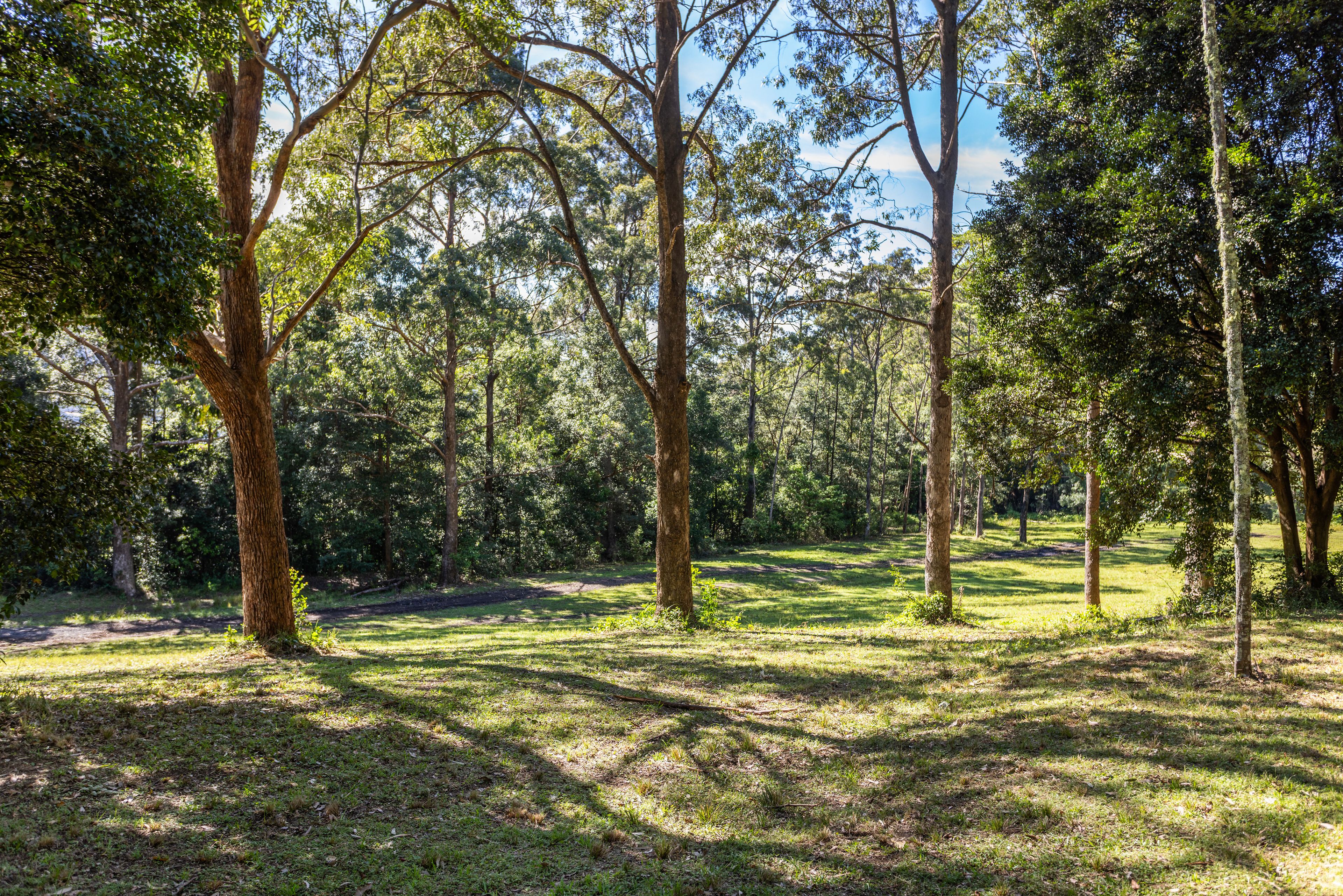 'The Ridge Farm' Lots 22 & 102 Free Selectors Road — photo 16 of 23