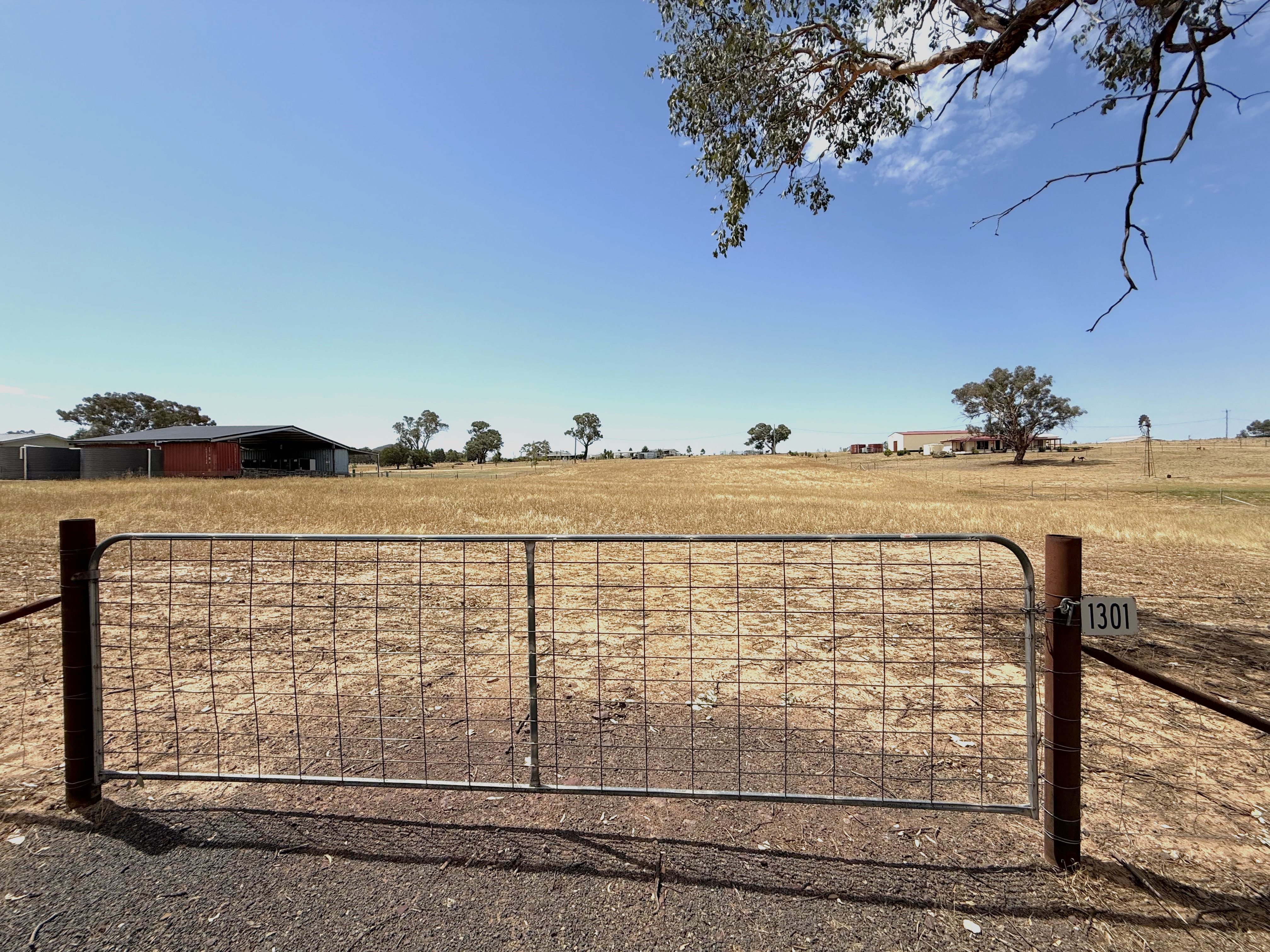1301 Belowra Road, Murringo Via, Young, NSW 2594
