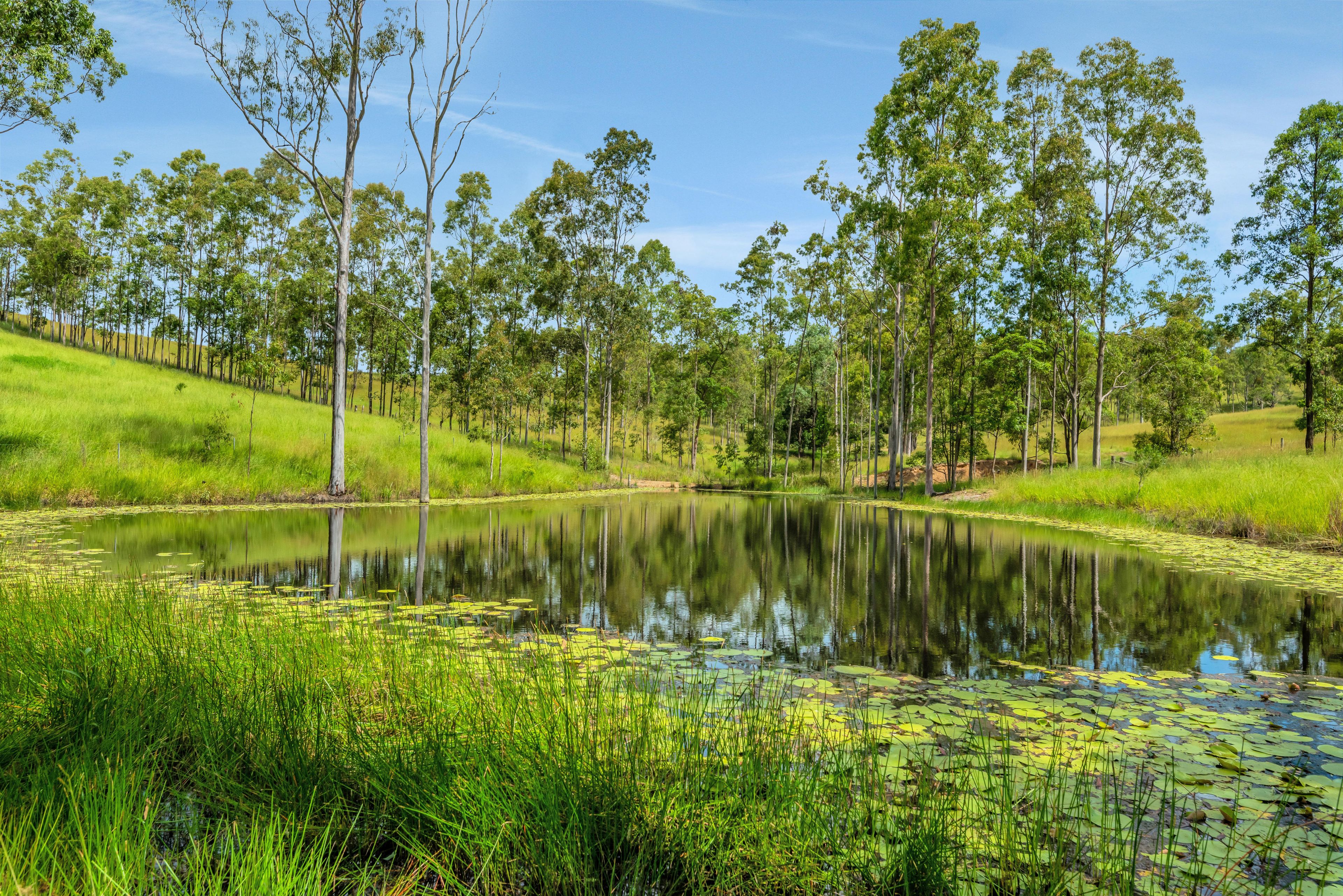 'The Mary Valley Farm' - A Rare Hinterland Legacy — photo 25 of 30