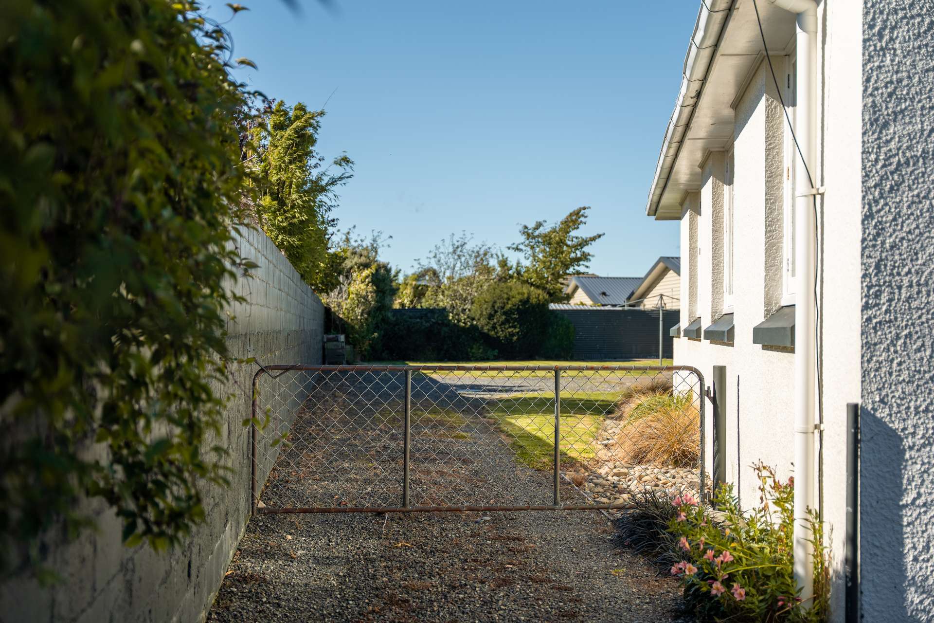 76 Adamson Crescent photo 18