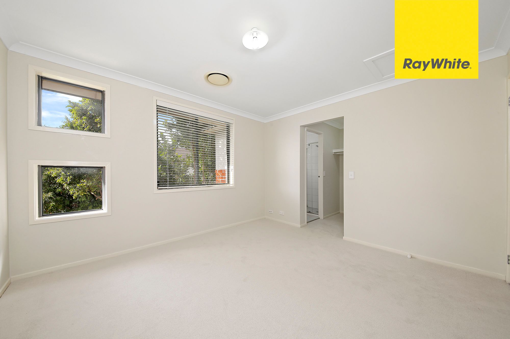 17 Coachwood Street, Auburn, NSW 2144
