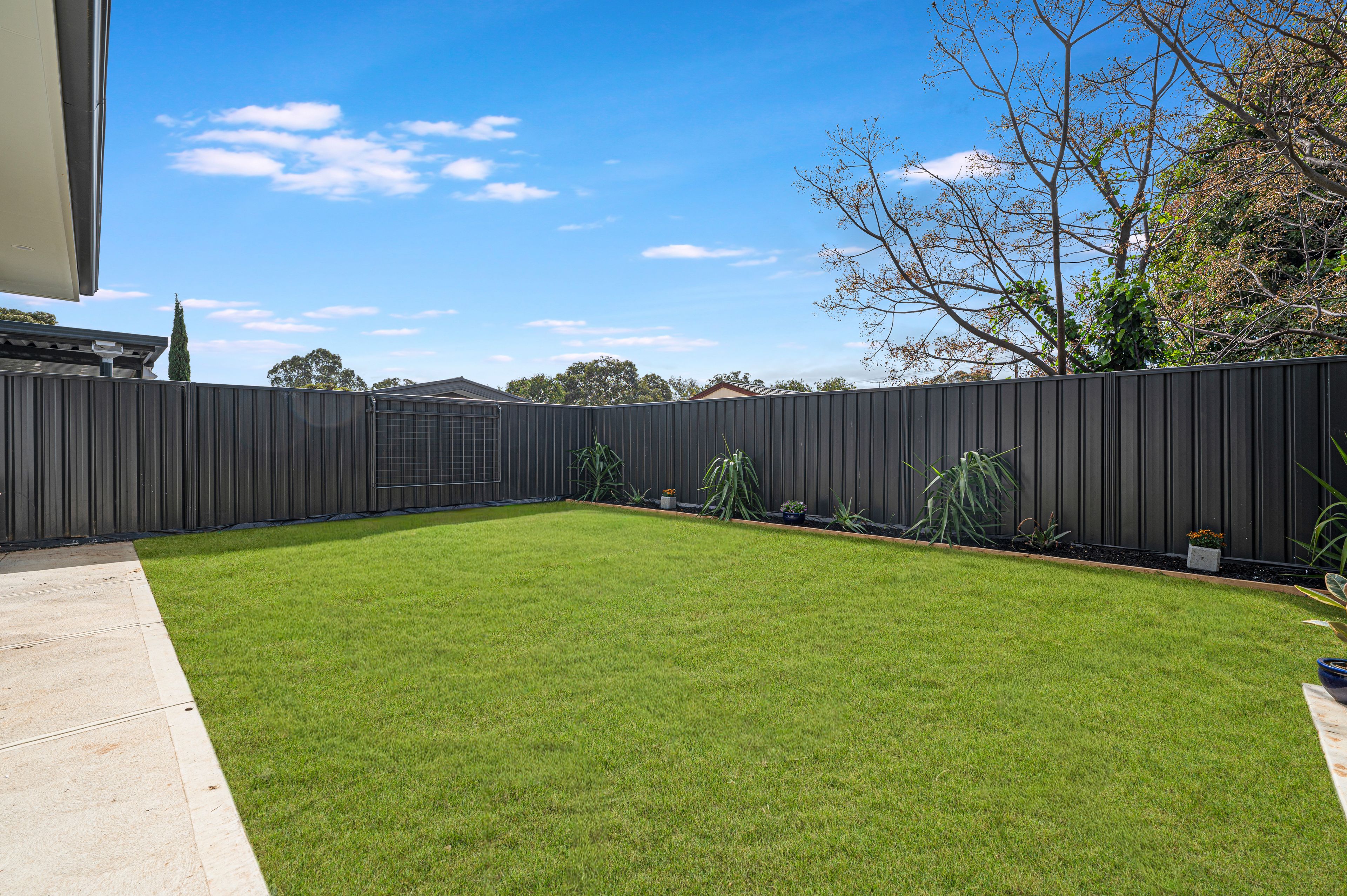 2A Myall Street — photo 21 of 23