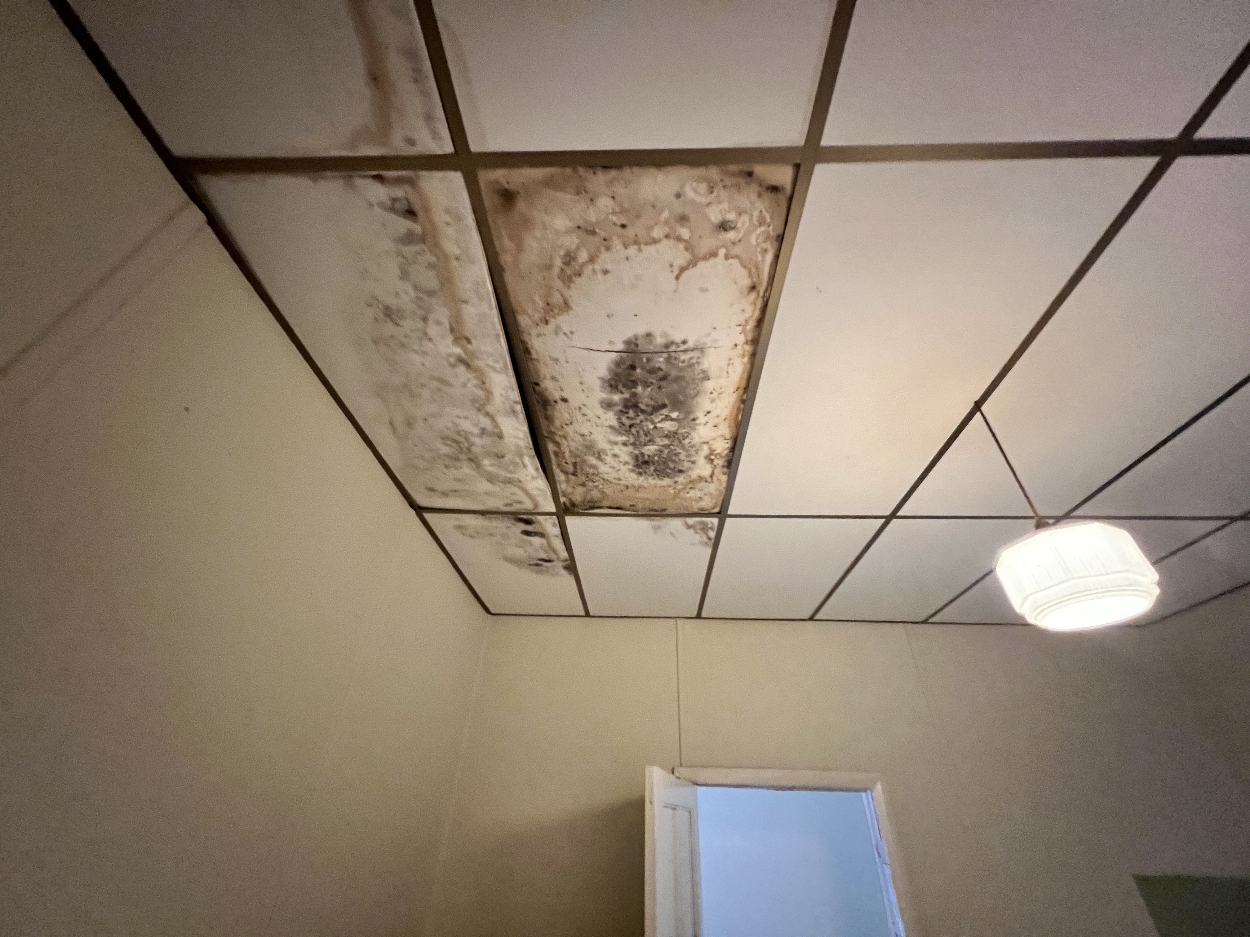 416 Lane Street — photo 14 of 18