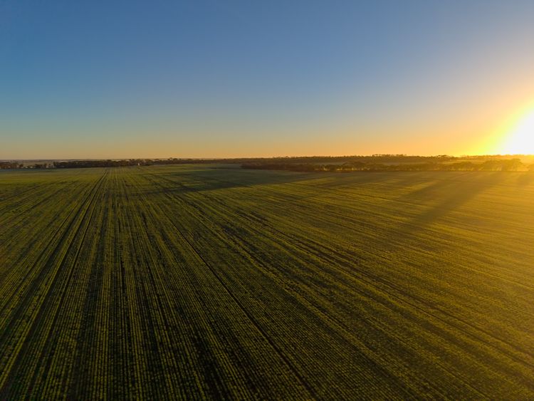 1074 Neve Road, Pingrup, WA 6343