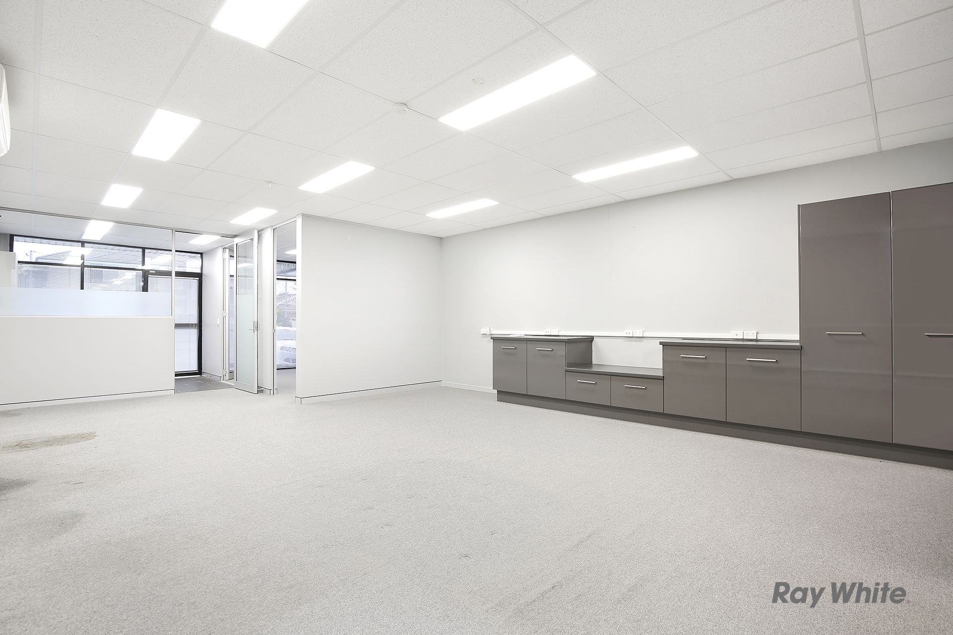 55 Tintern Avenue, Telopea, NSW 2117