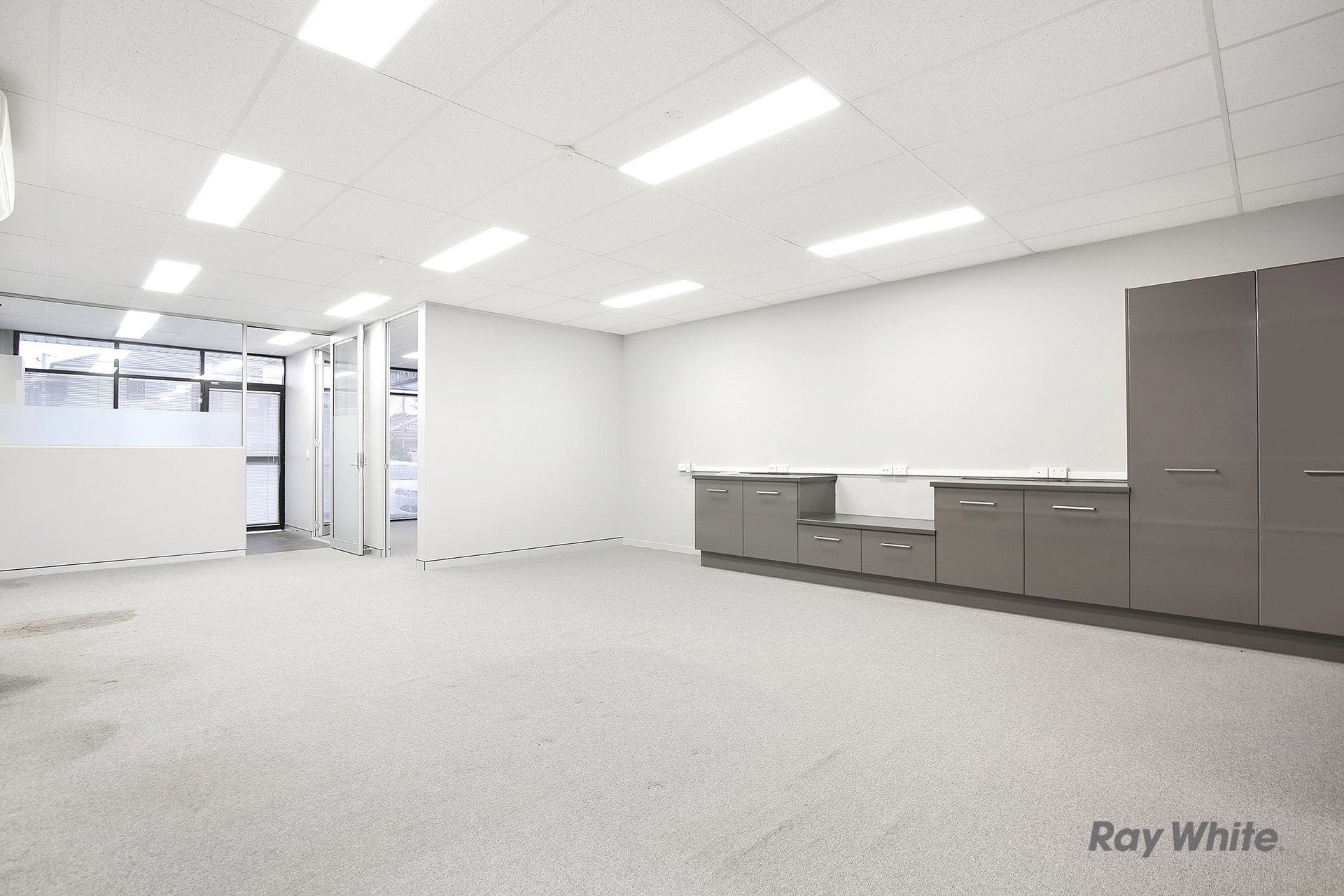 55 Tintern Avenue, Telopea, NSW 2117