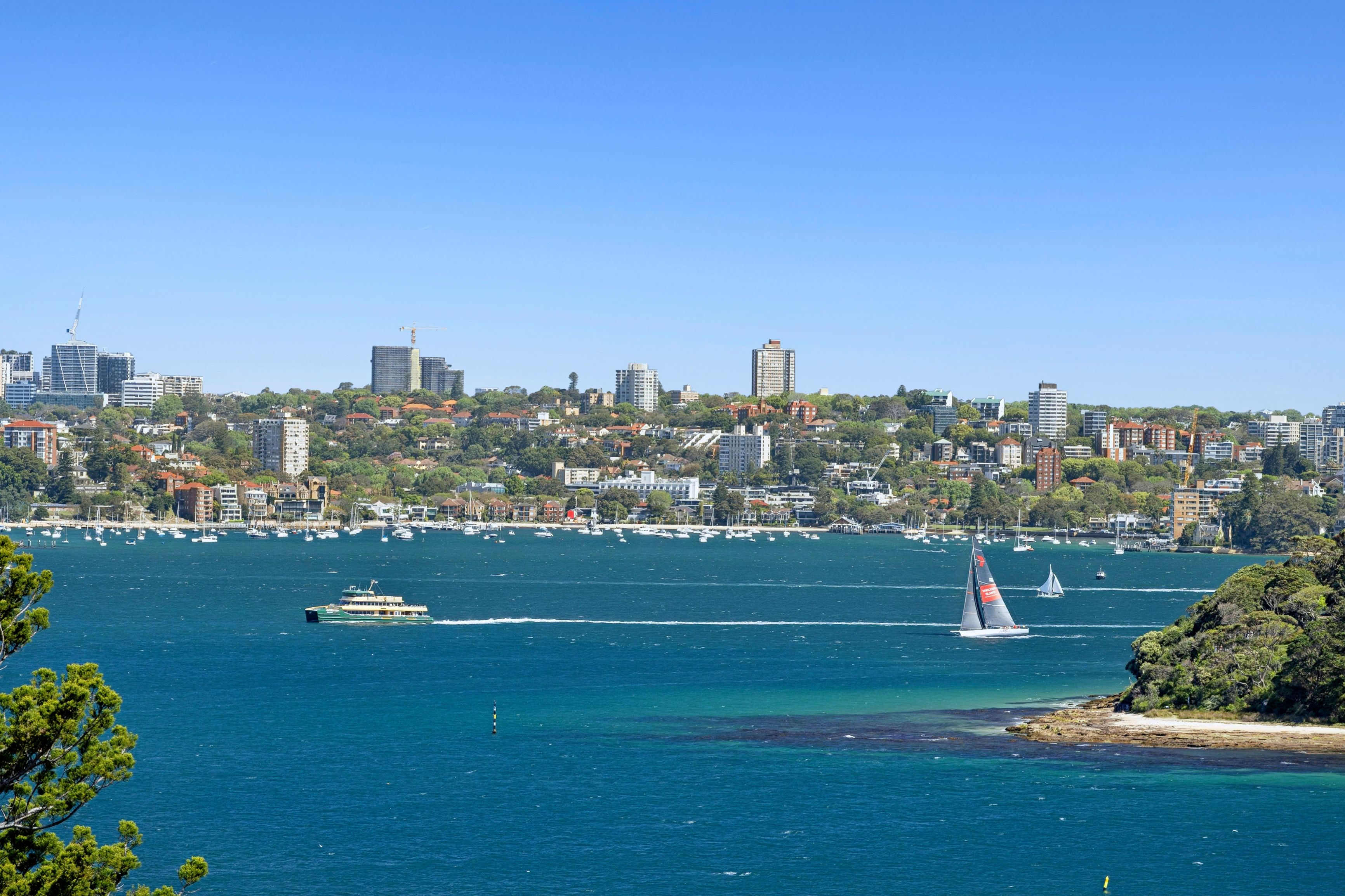 10 Kardinia Road — photo from Ray White Lower North Shore (Mosman)