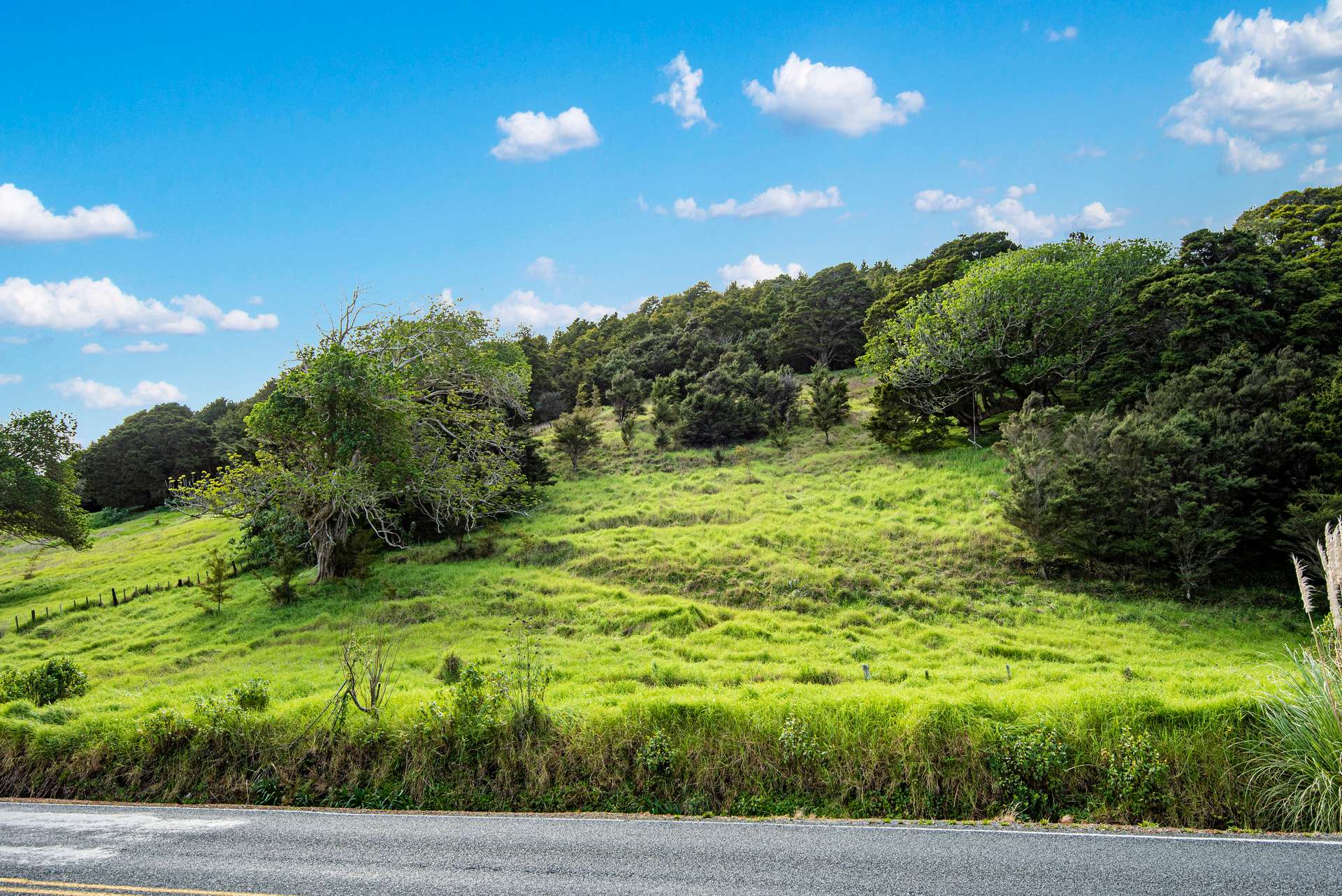 421 Whangarei Heads Road photo 0