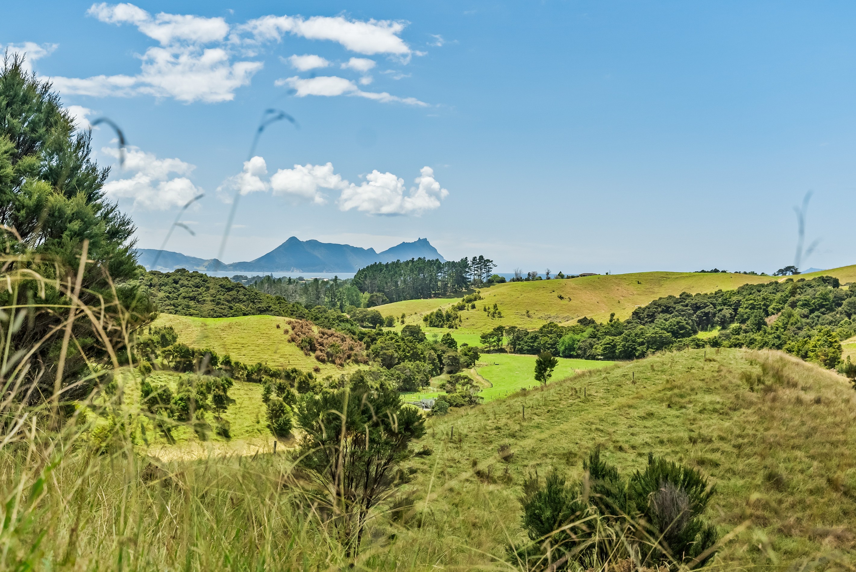 Lot 6 Ruakaka Ridge View, Ruakaka, Whangarei District
