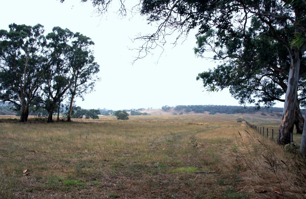Lot 1004 Nottage Road, Meadows, SA 5201