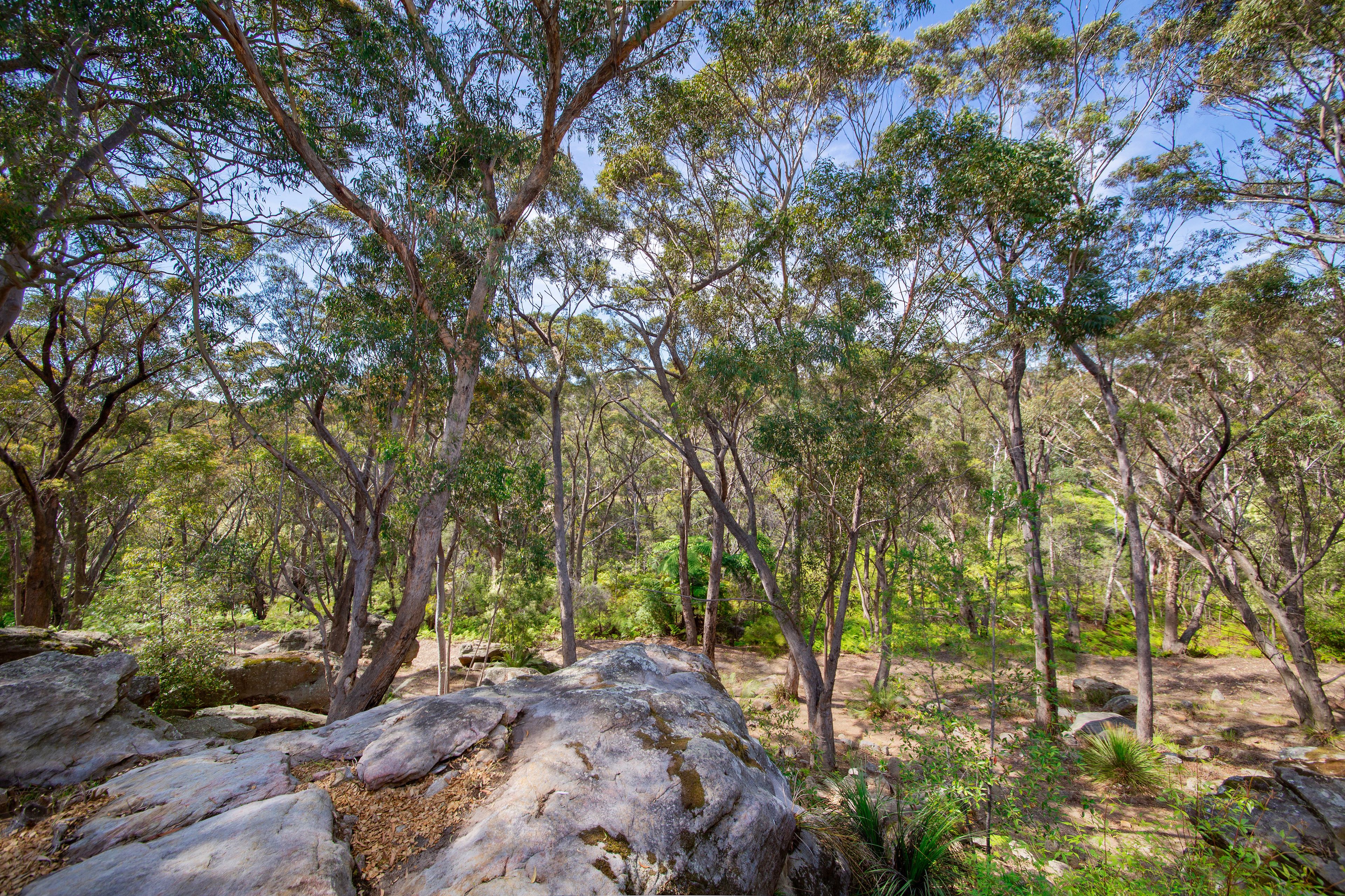 3/57 Jervis Drive, Illawong, NSW 2234