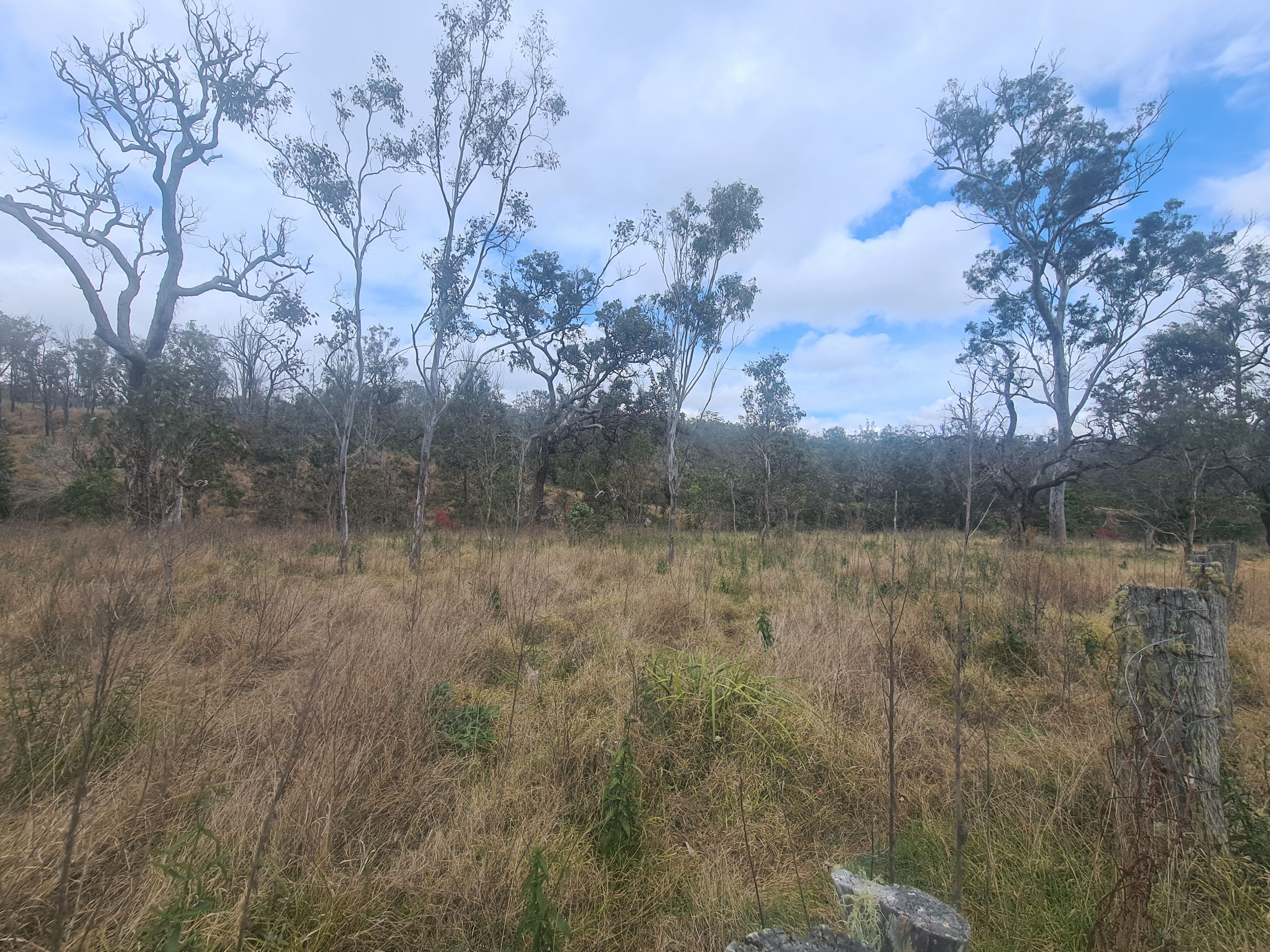 Lot 225, White Road, Crows Nest, QLD 4355 Sold Land Ray White Rural