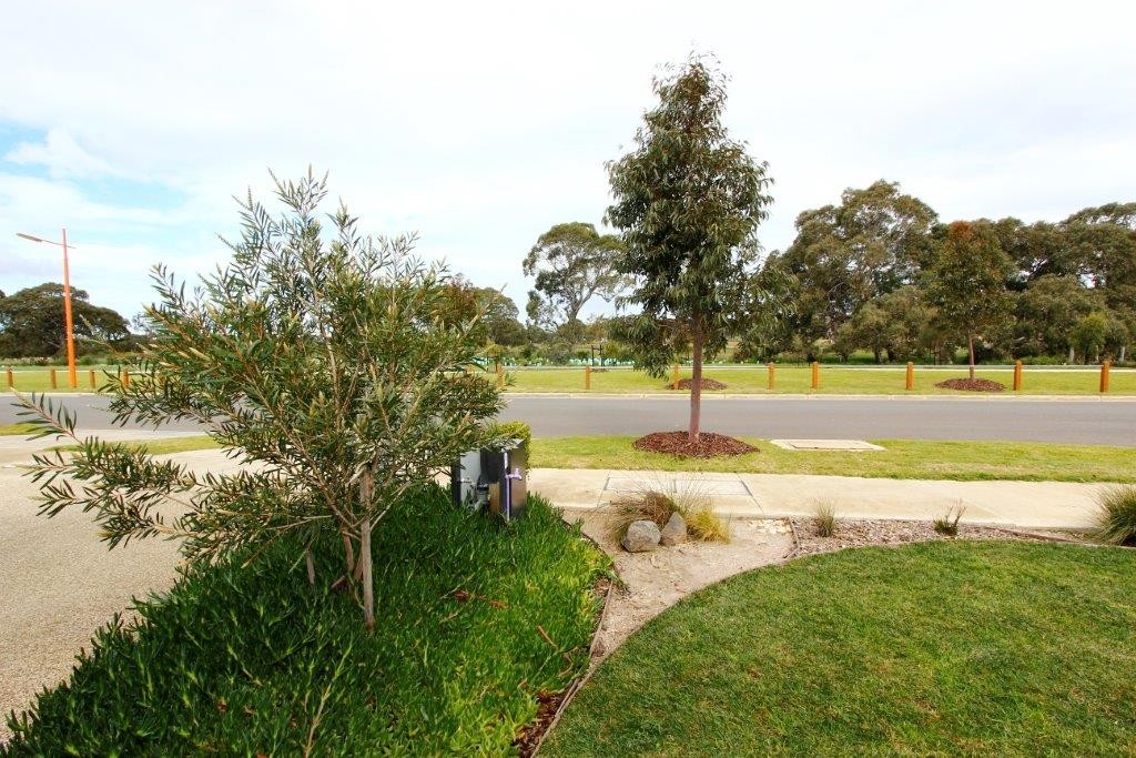 54 Armstrong Boulevard, MOUNT DUNEED, VIC 3217