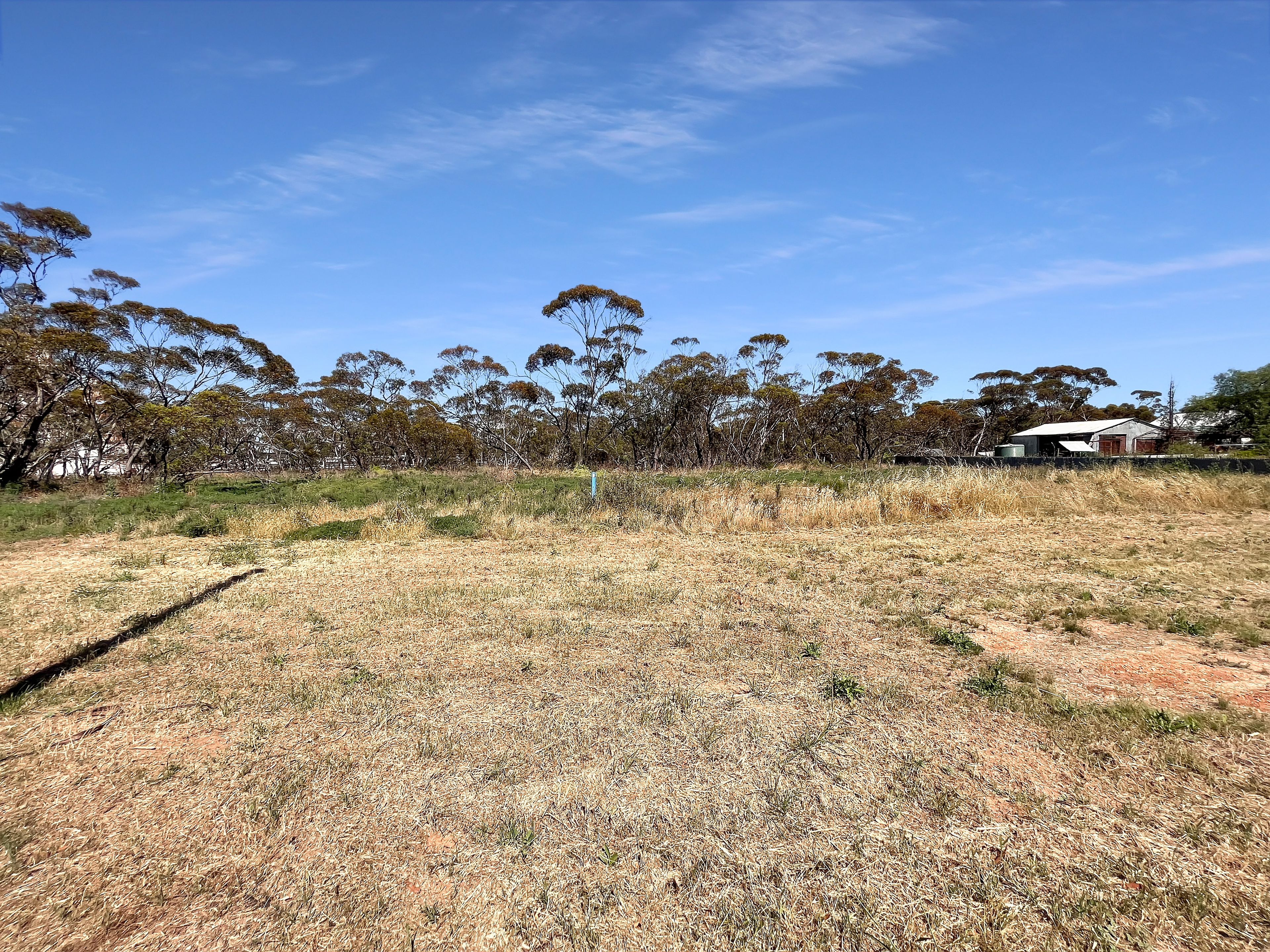 2101 Sunraysia Highway, TURRIFF, VIC 3488