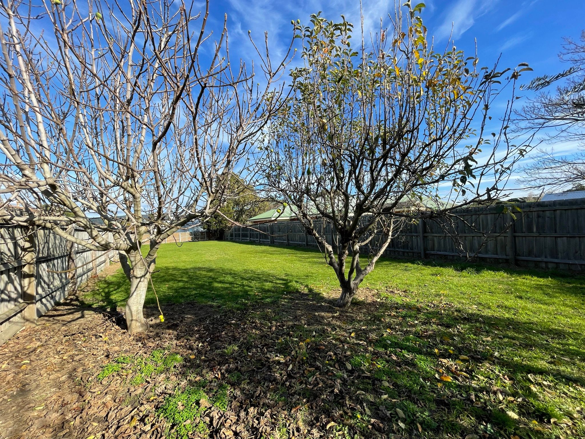 27 Balmoral Avenue — photo 17 of 23
