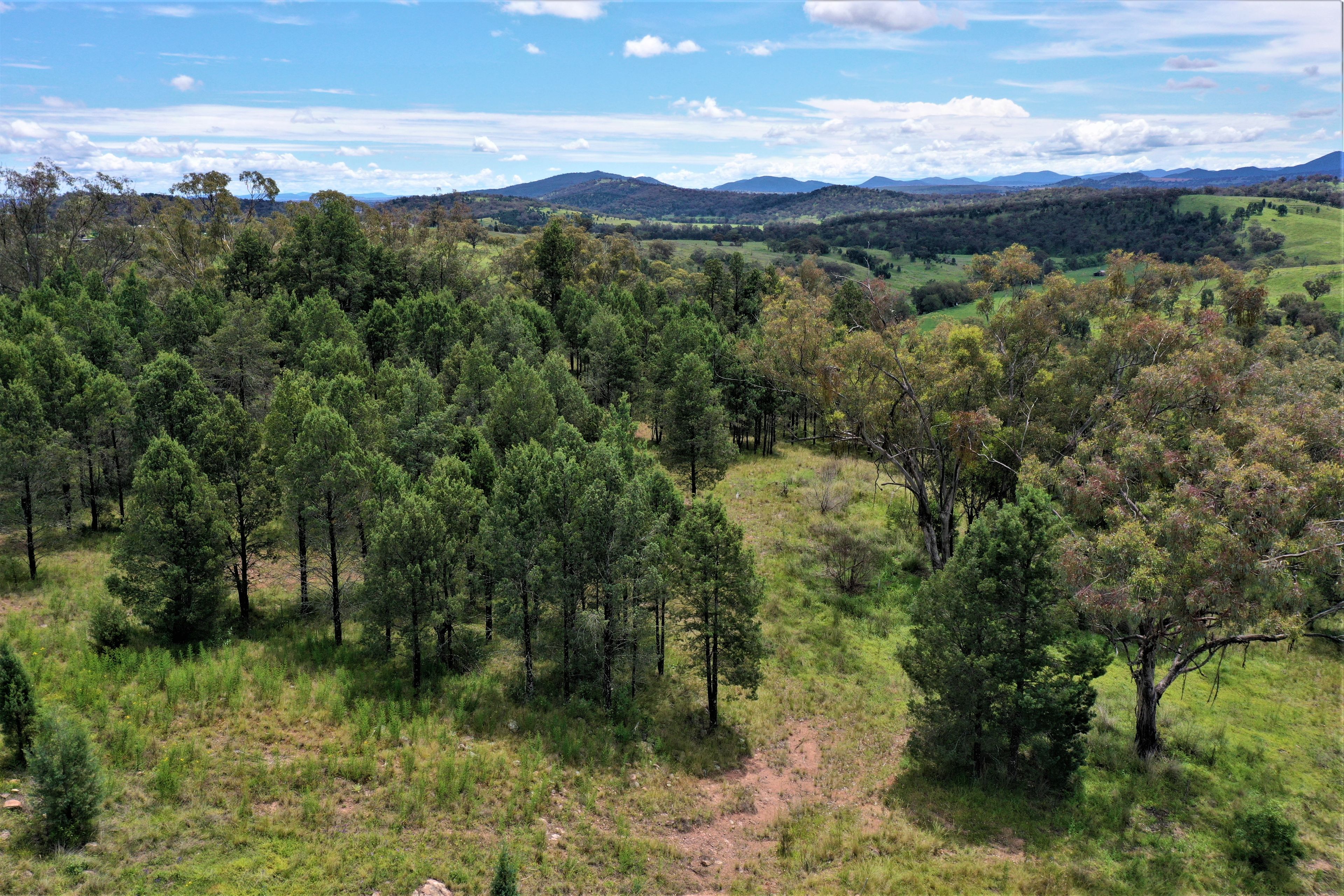 3A Grandview Place, Quirindi, NSW 2343