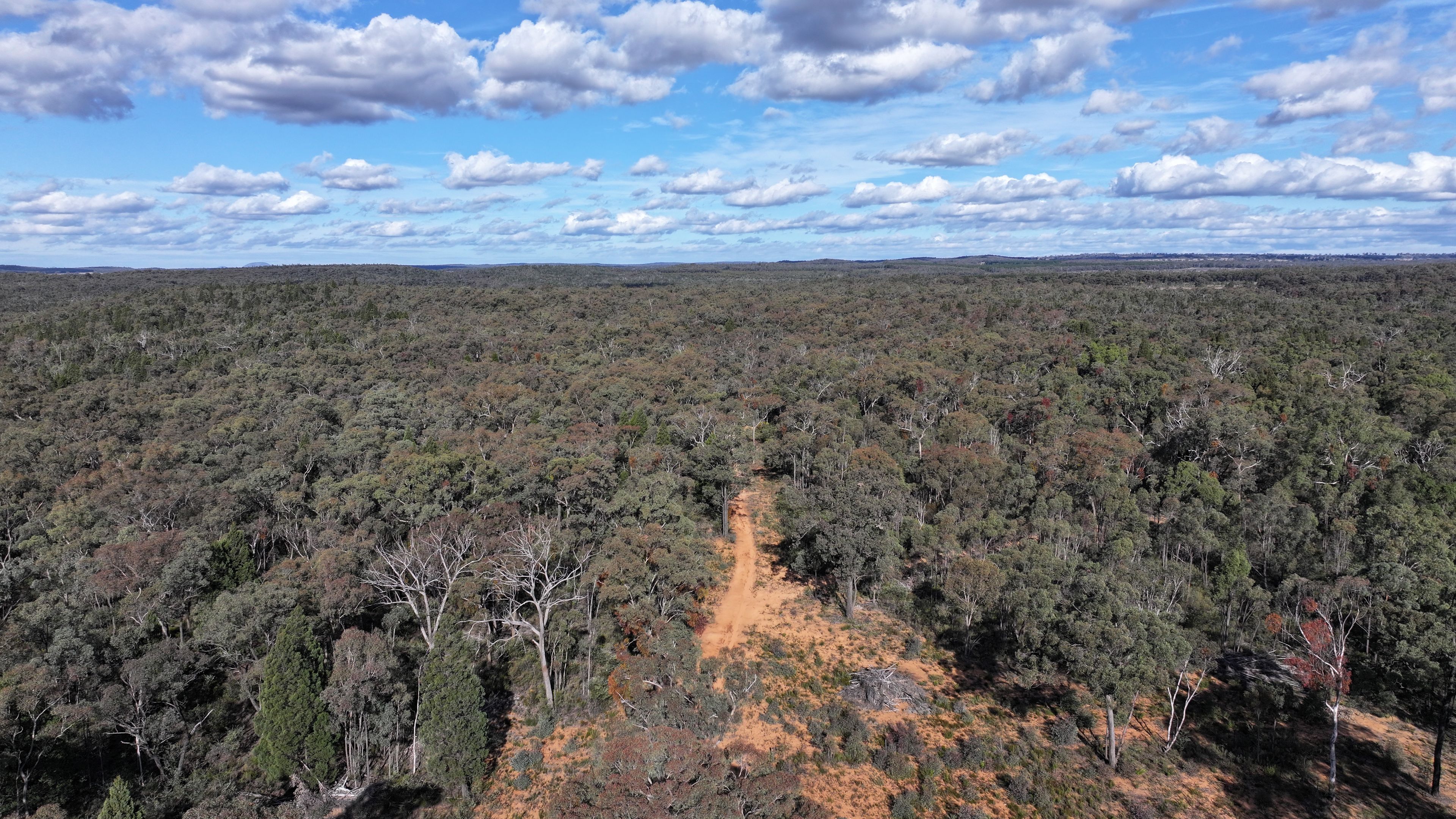 97 Aquilla Avenue, Dandry, NSW 2357