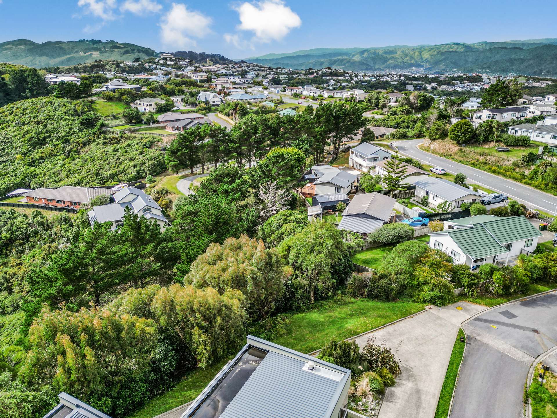 163a Maungaraki Road photo 3