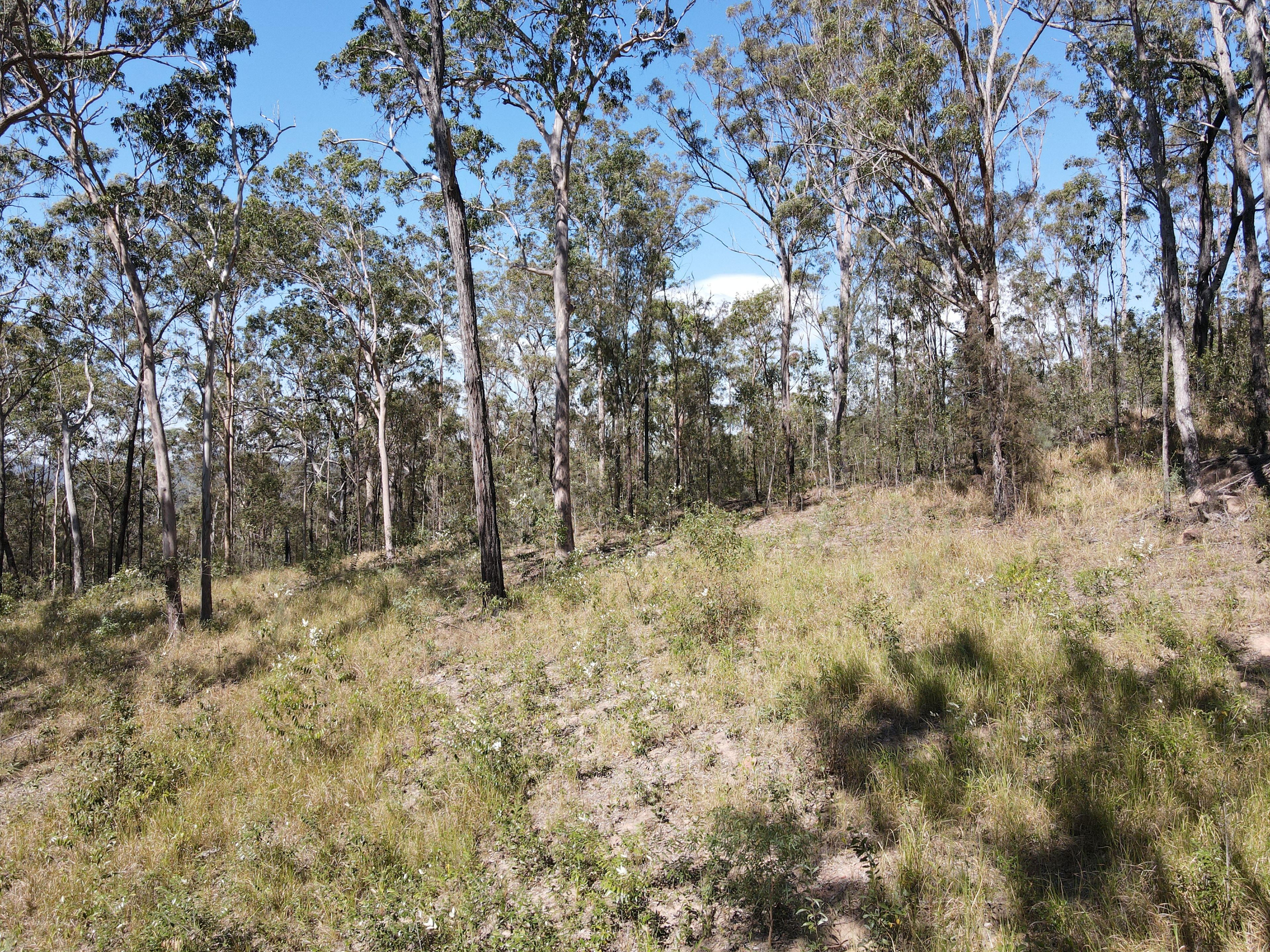 428 Bruxner Road — photo 15 of 18